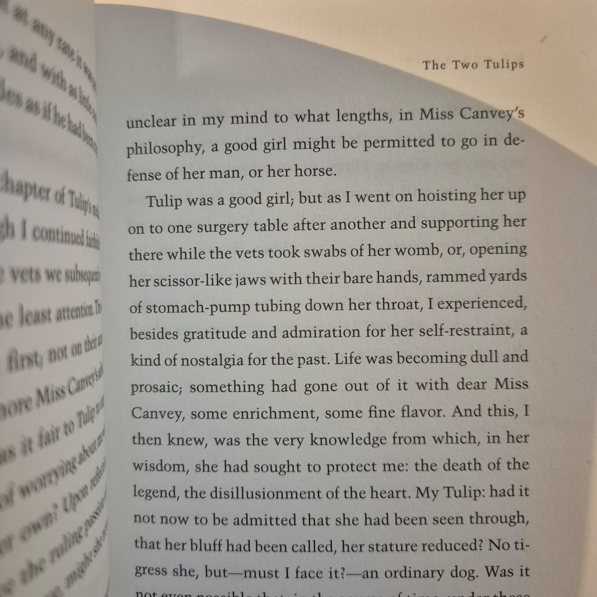 'My Dog Tulip' by J. R. Ackerley