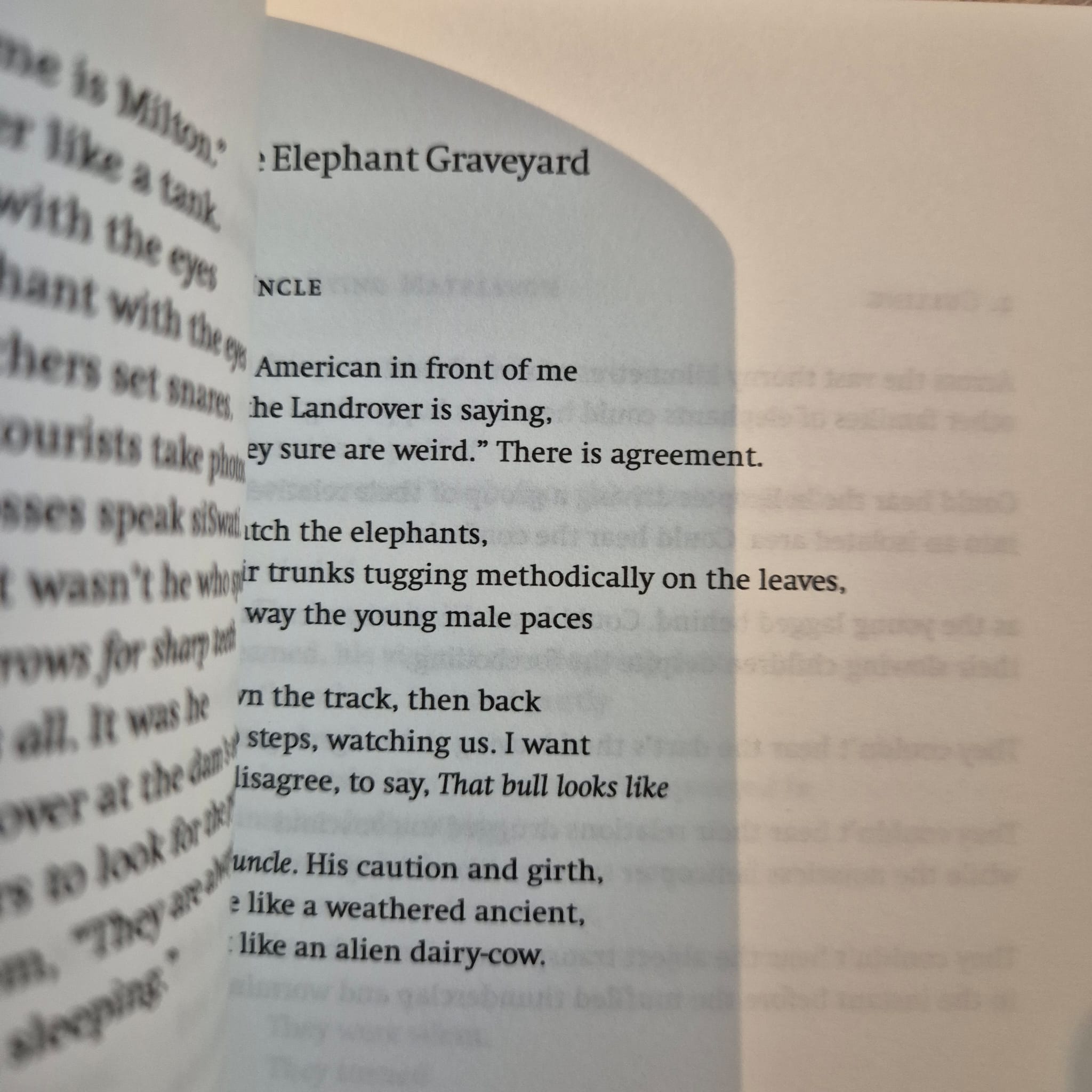 'Elsewhere' by John Mateer