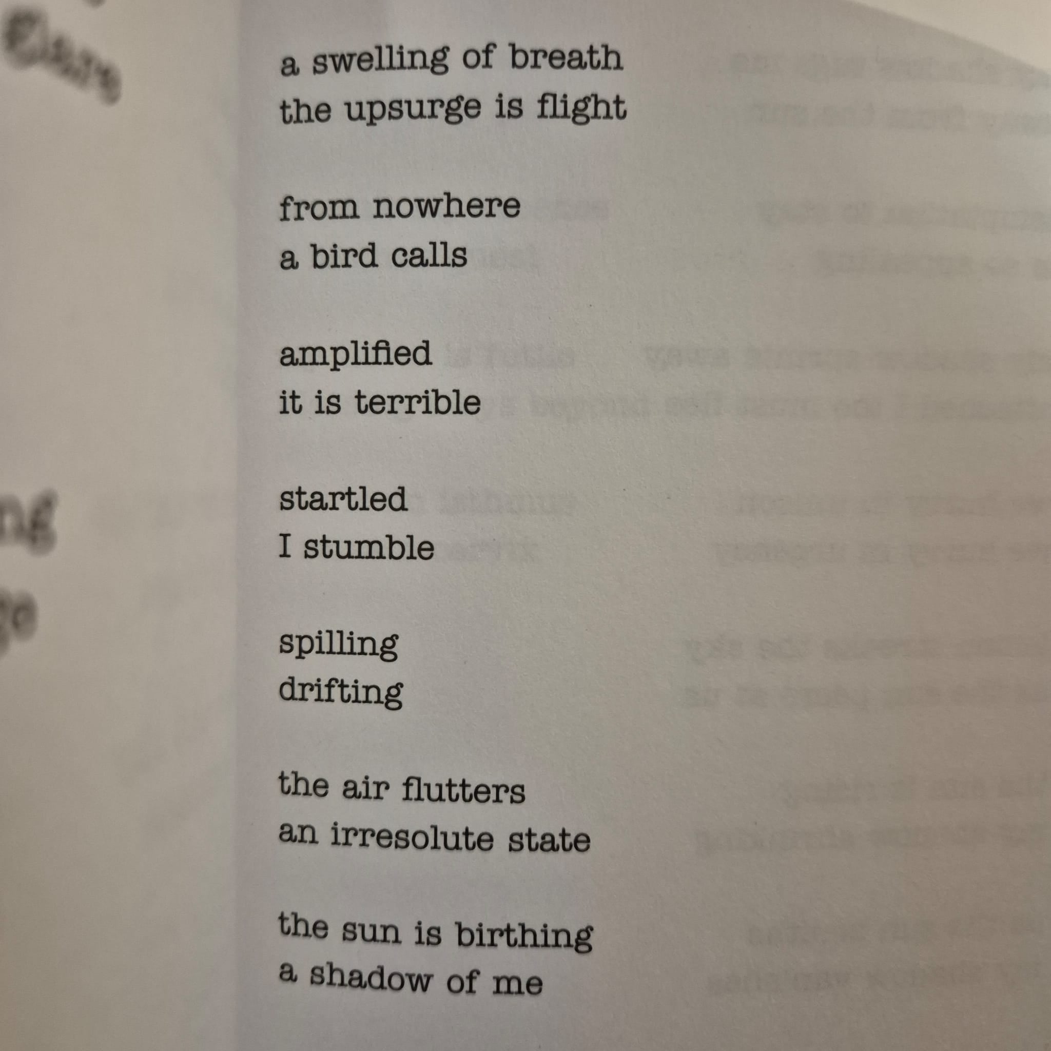'She Is the Earth' by Ali Cobby Eckermann