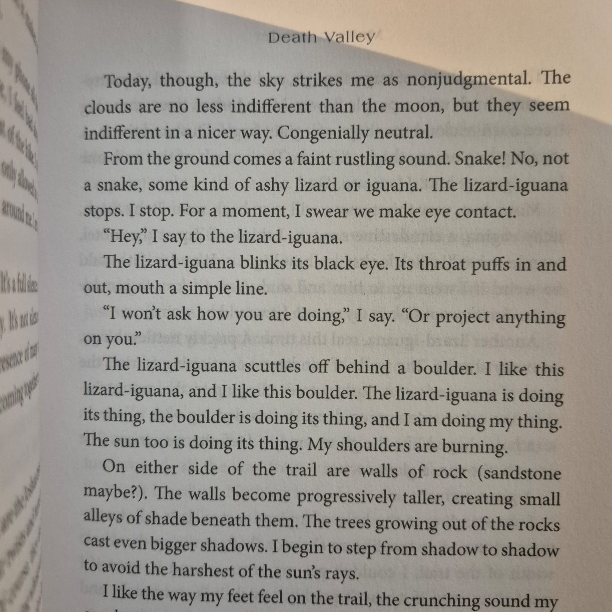 'Death Valley' by Melissa Broder
