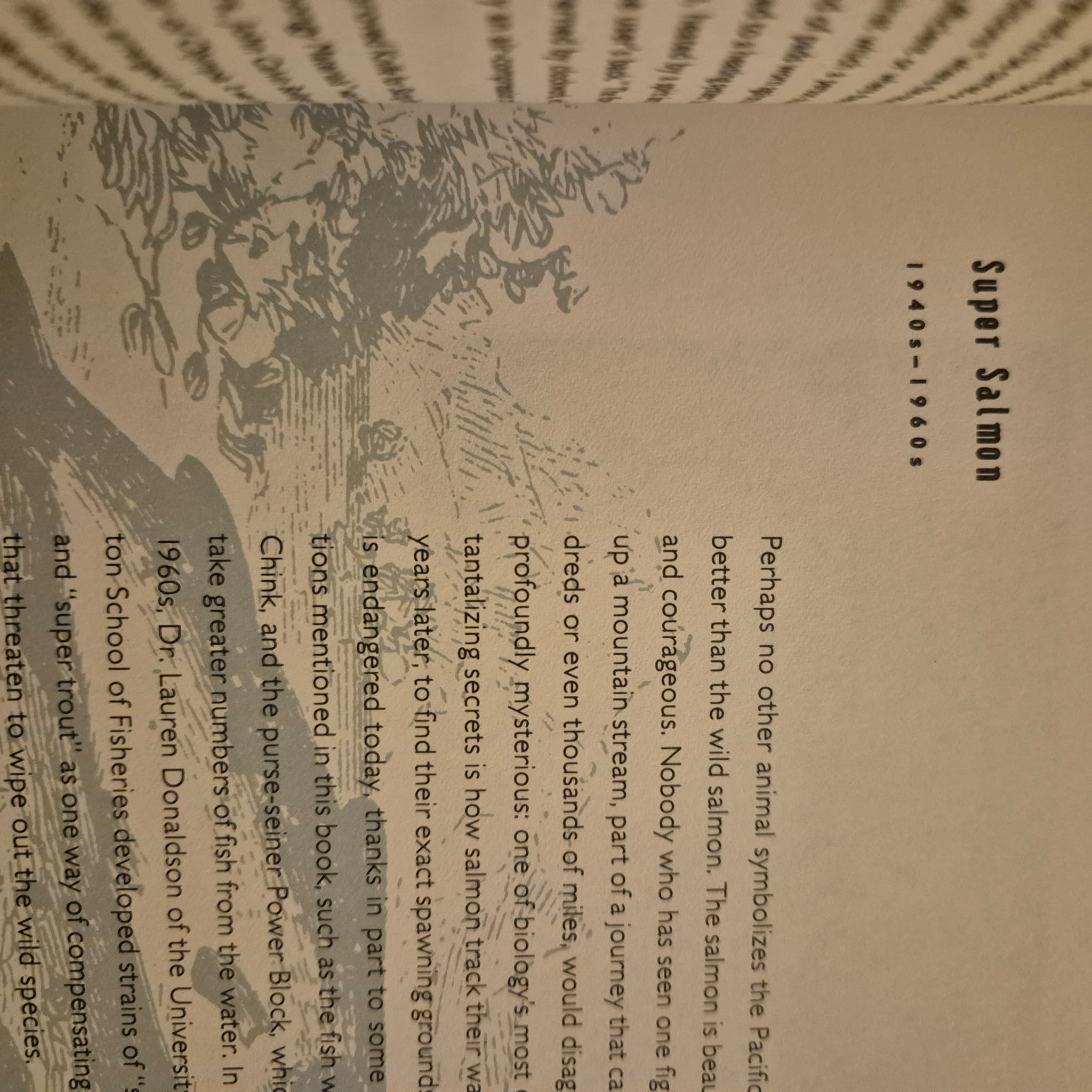 'Sexless Oysters and Self-Tipping Hats' by Adam Woog