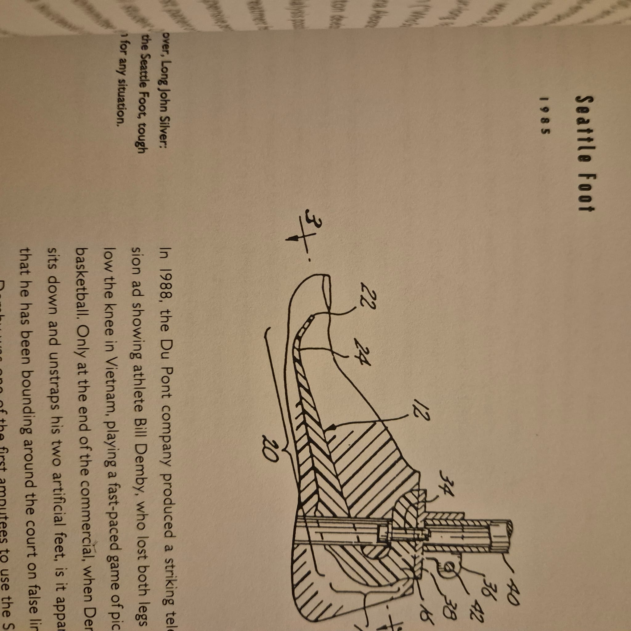 'Sexless Oysters and Self-Tipping Hats' by Adam Woog