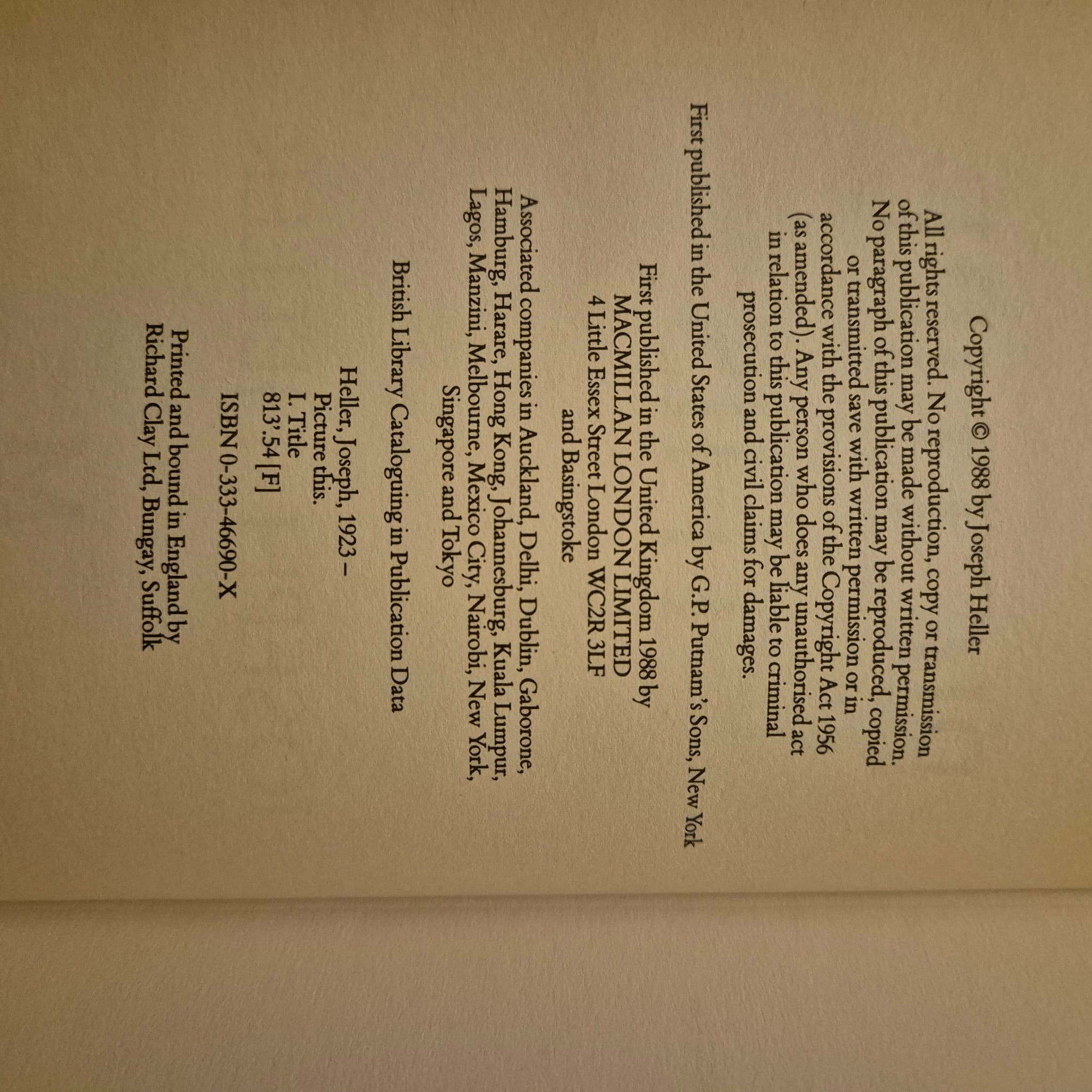 'Picture This' by Joseph Heller