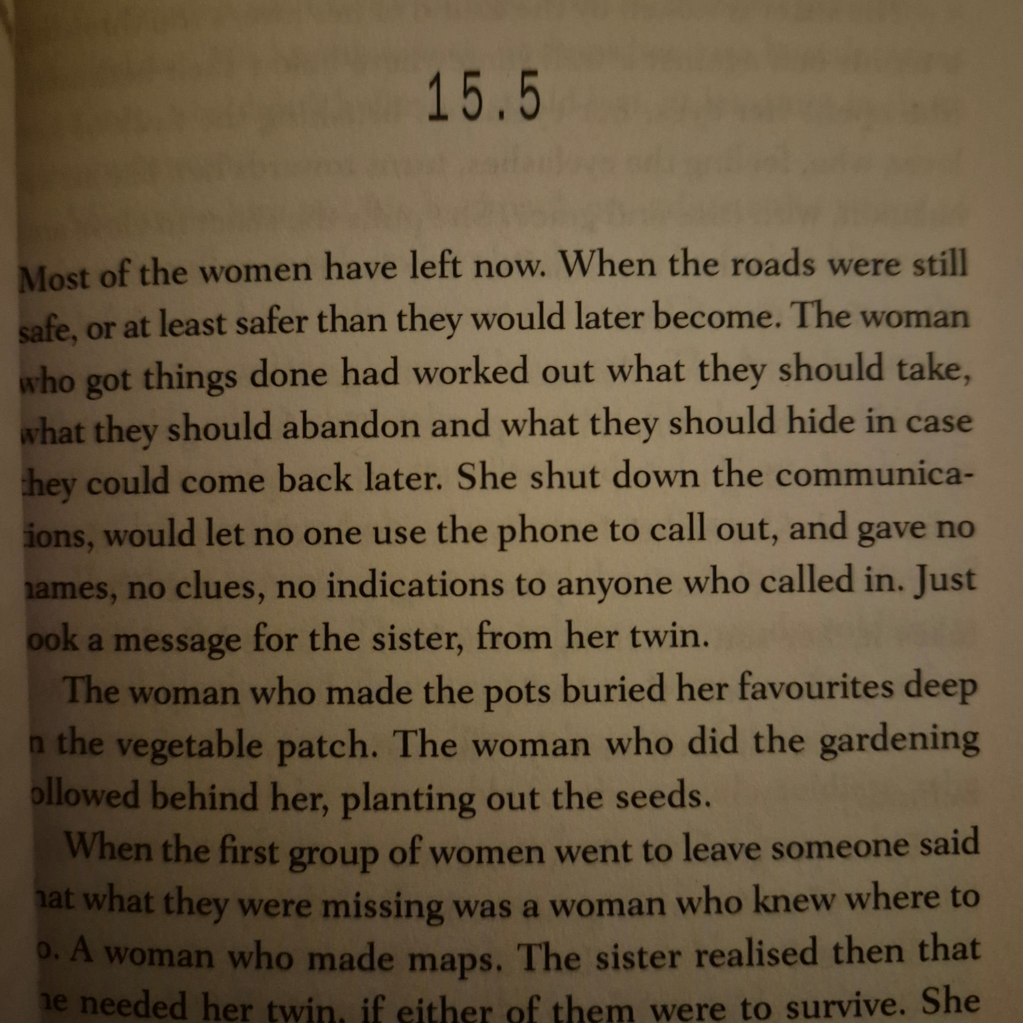 'My Sister Chaos' by Lara Fergus