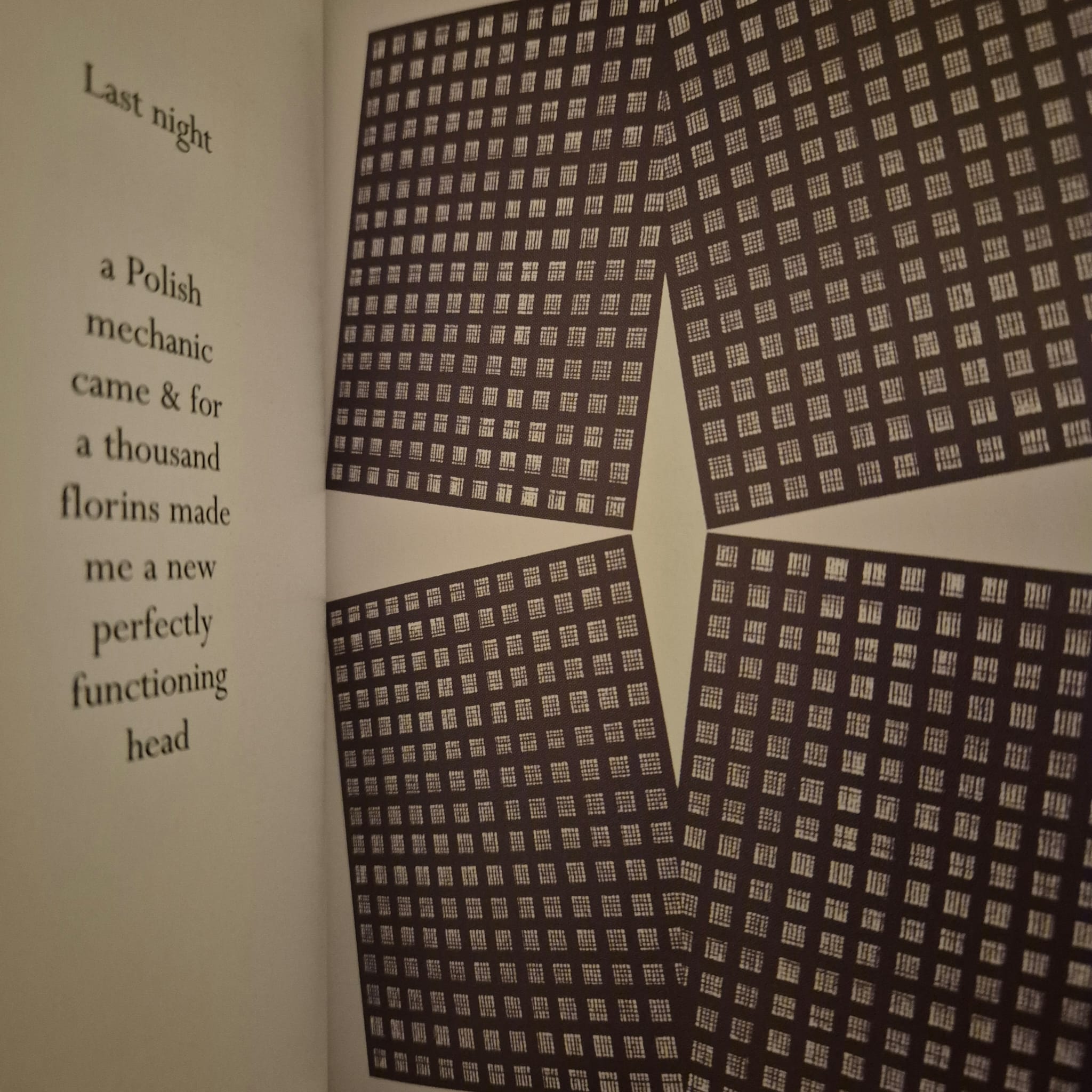 'For Years Now' by W. G. Sebald, images by Tess Jaray