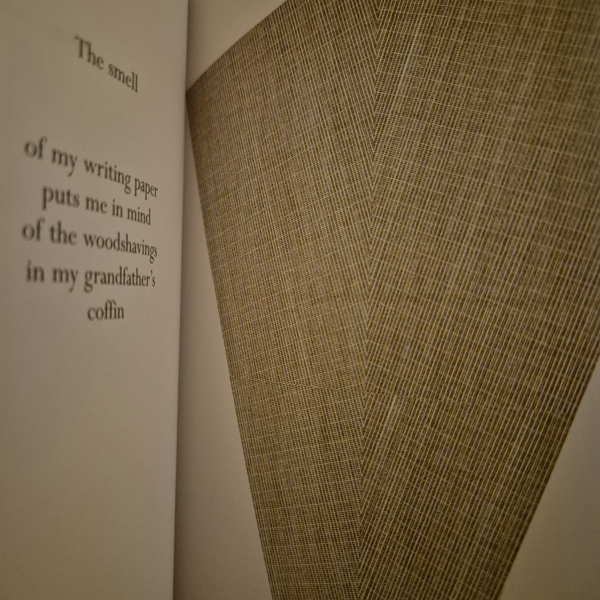 'For Years Now' by W. G. Sebald, images by Tess Jaray