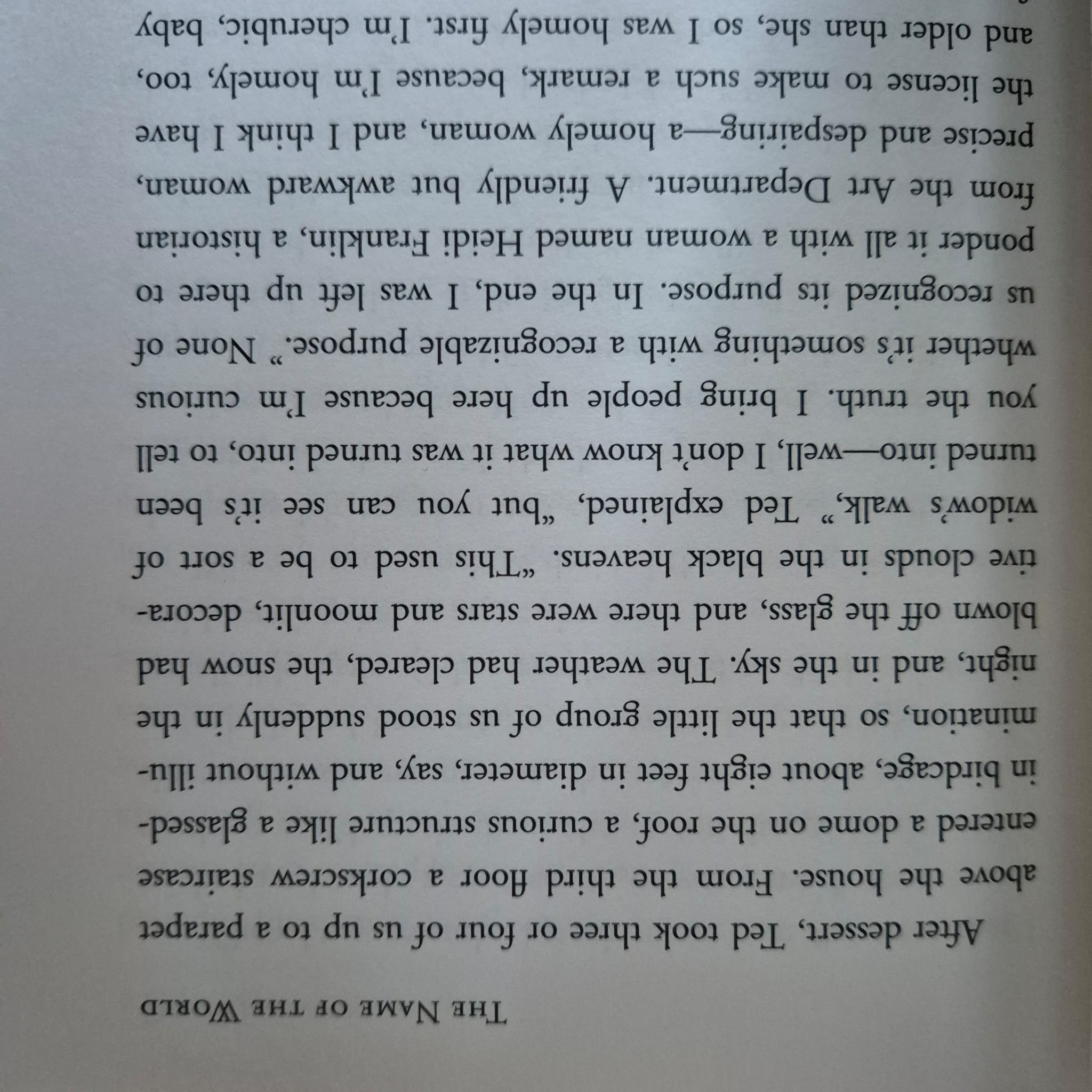 'The Name of the World' by Denis Johnson