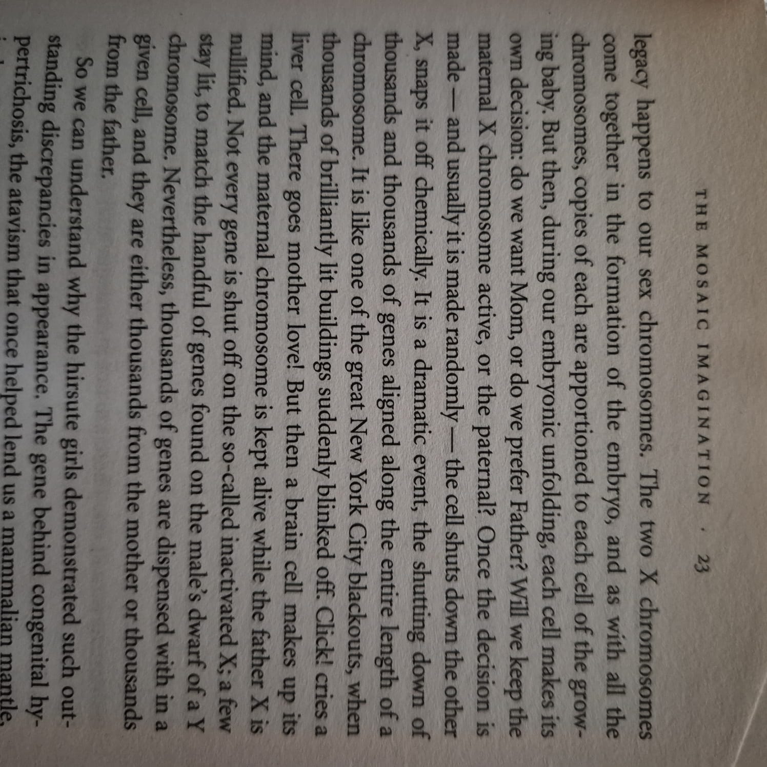'Woman: An Intimate Geography' by Natalie Angier
