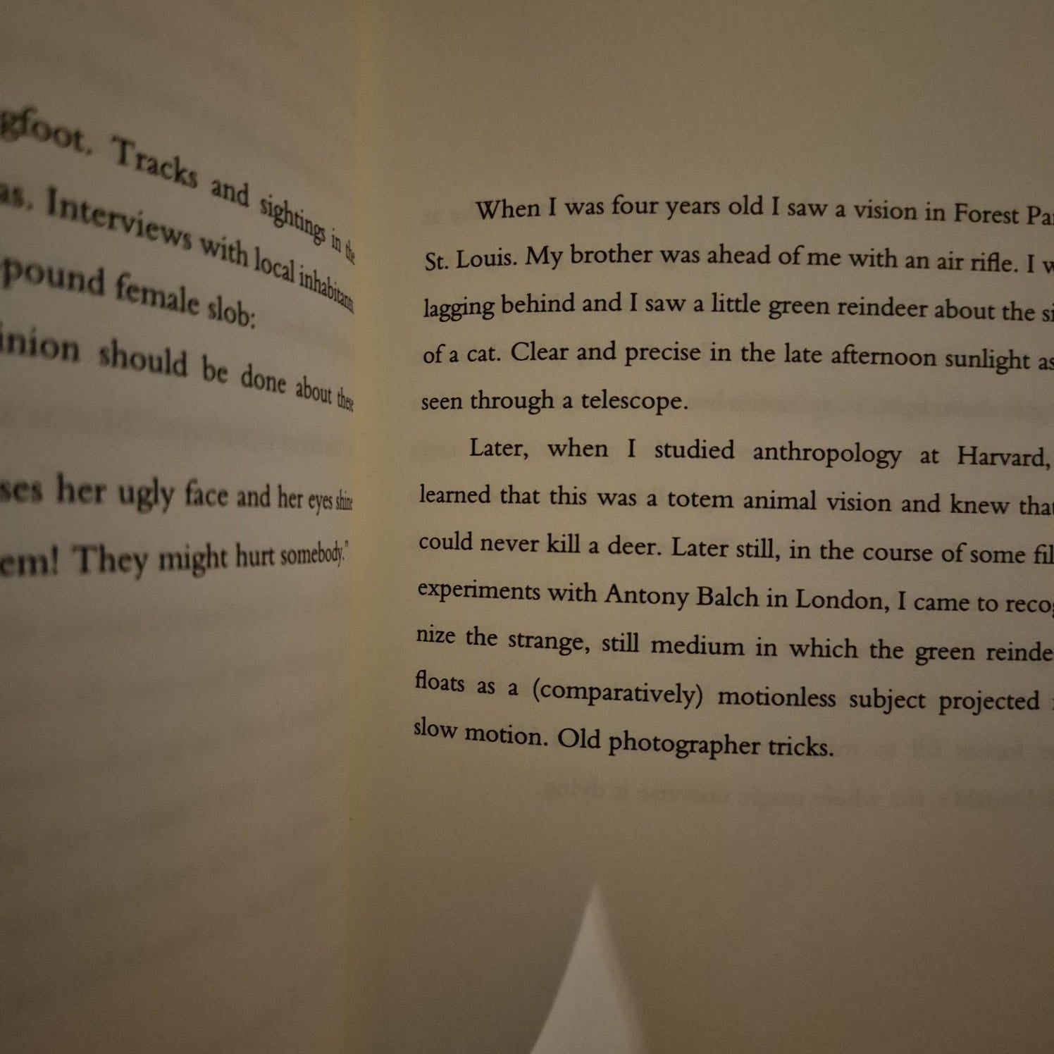 'The Cat Inside' by William S. Burroughs