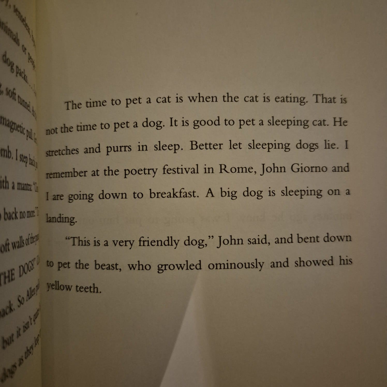 'The Cat Inside' by William S. Burroughs