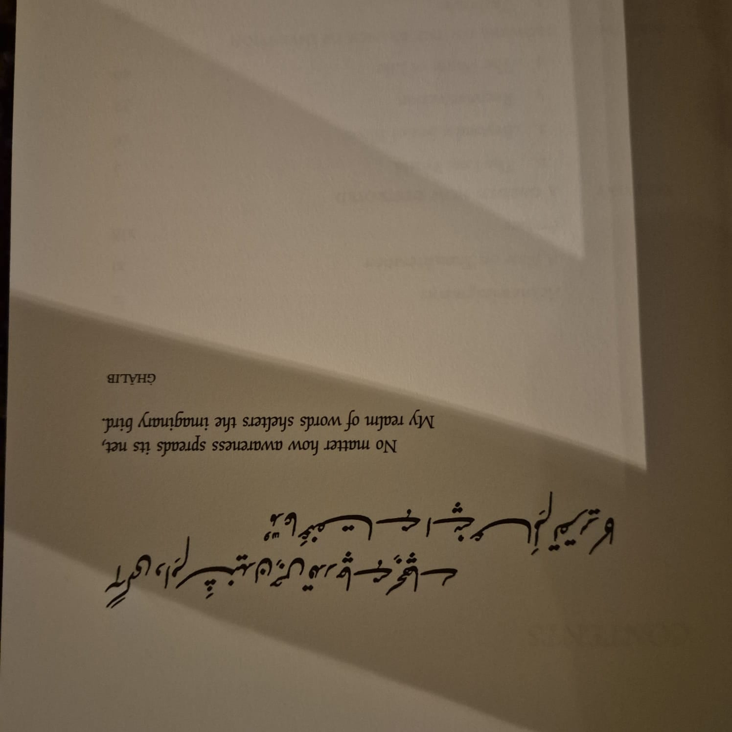 'Nets of Awareness: Urdu Poetry and Its Critics' by Frances W. Pritchett