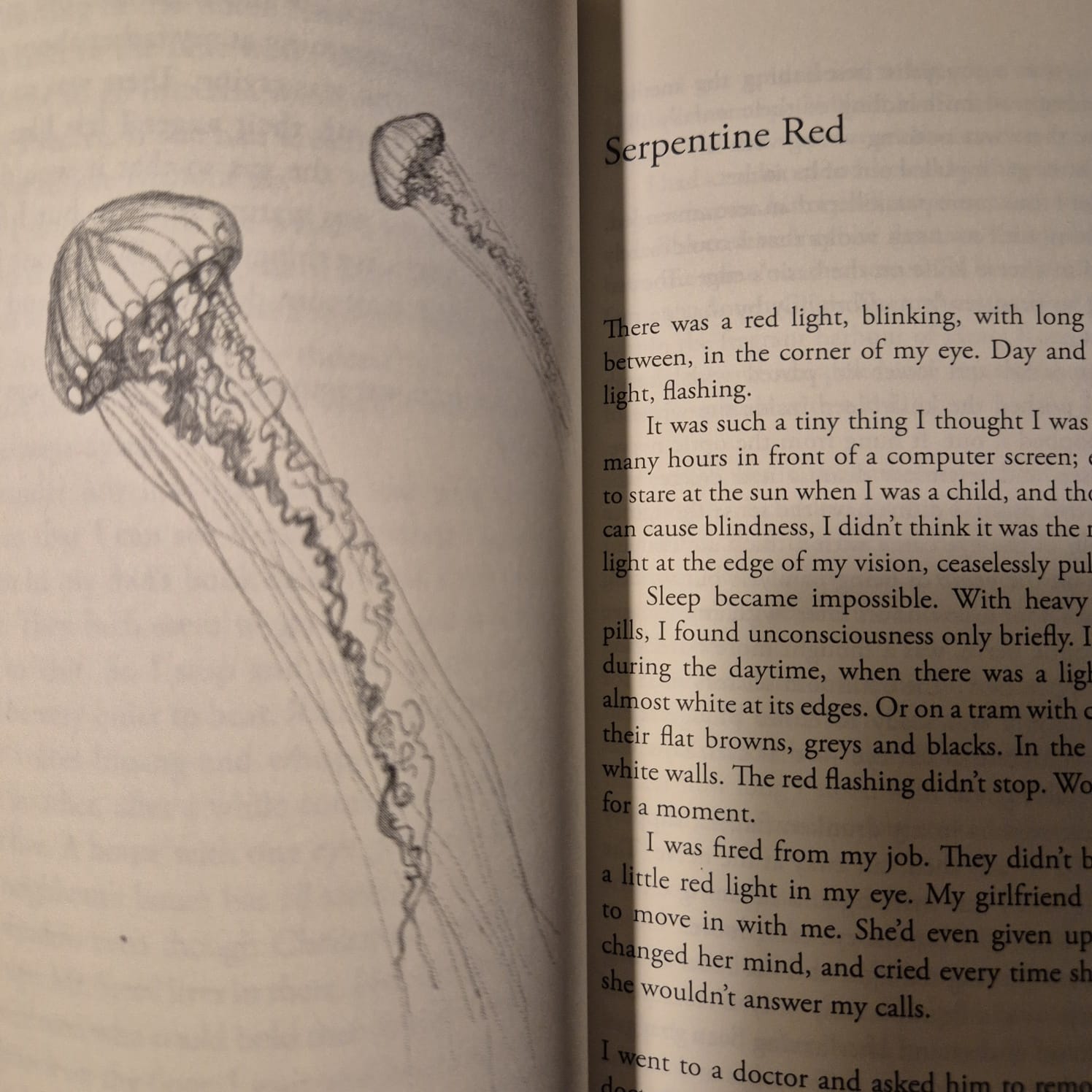 'The Rattler and Other Stories' by A. S. Patrić