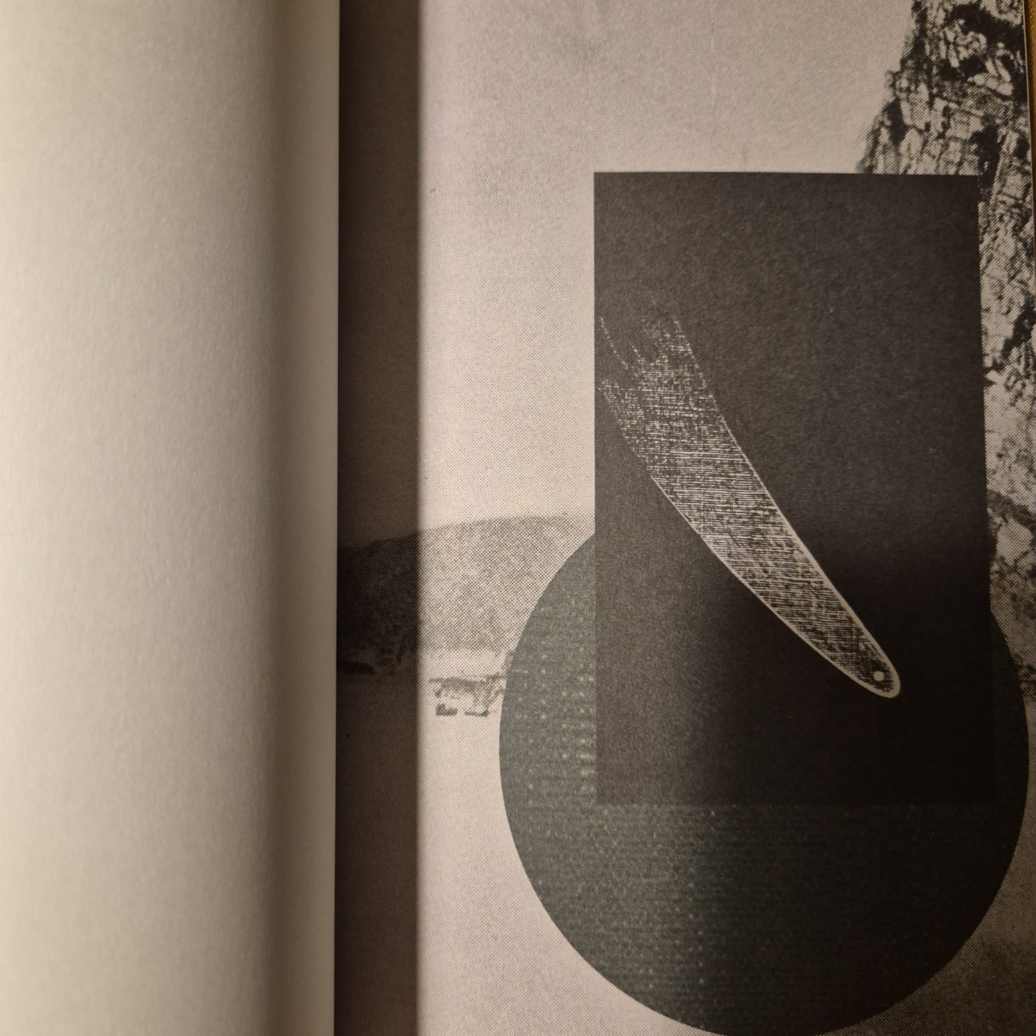 'Lost Lake' by Bella Li