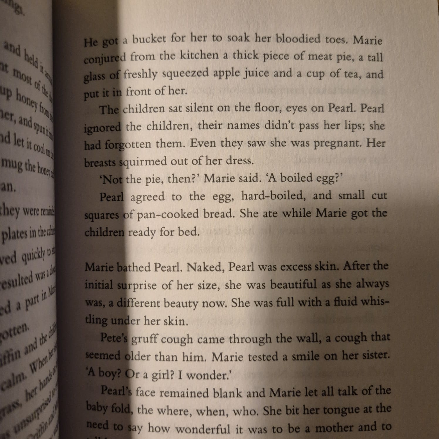 'Heat and Light' by Ellen van Neerven