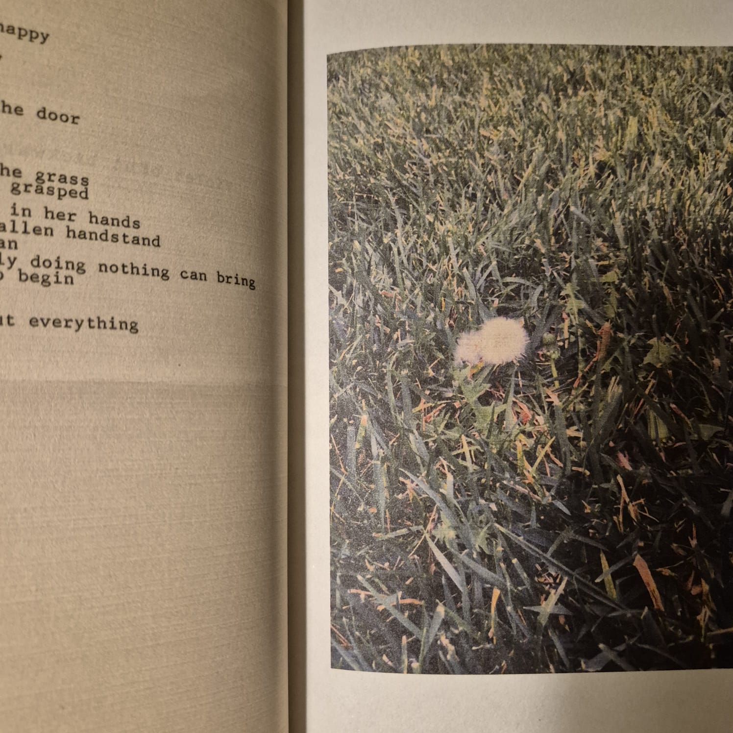 'Violet Bent Backwards Over the Grass' by Lana Del Rey
