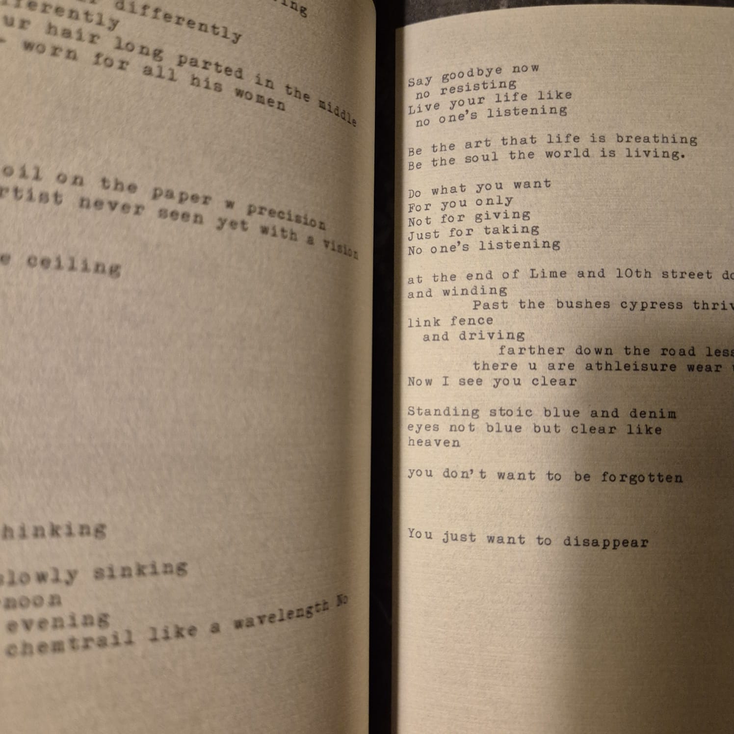'Violet Bent Backwards Over the Grass' by Lana Del Rey