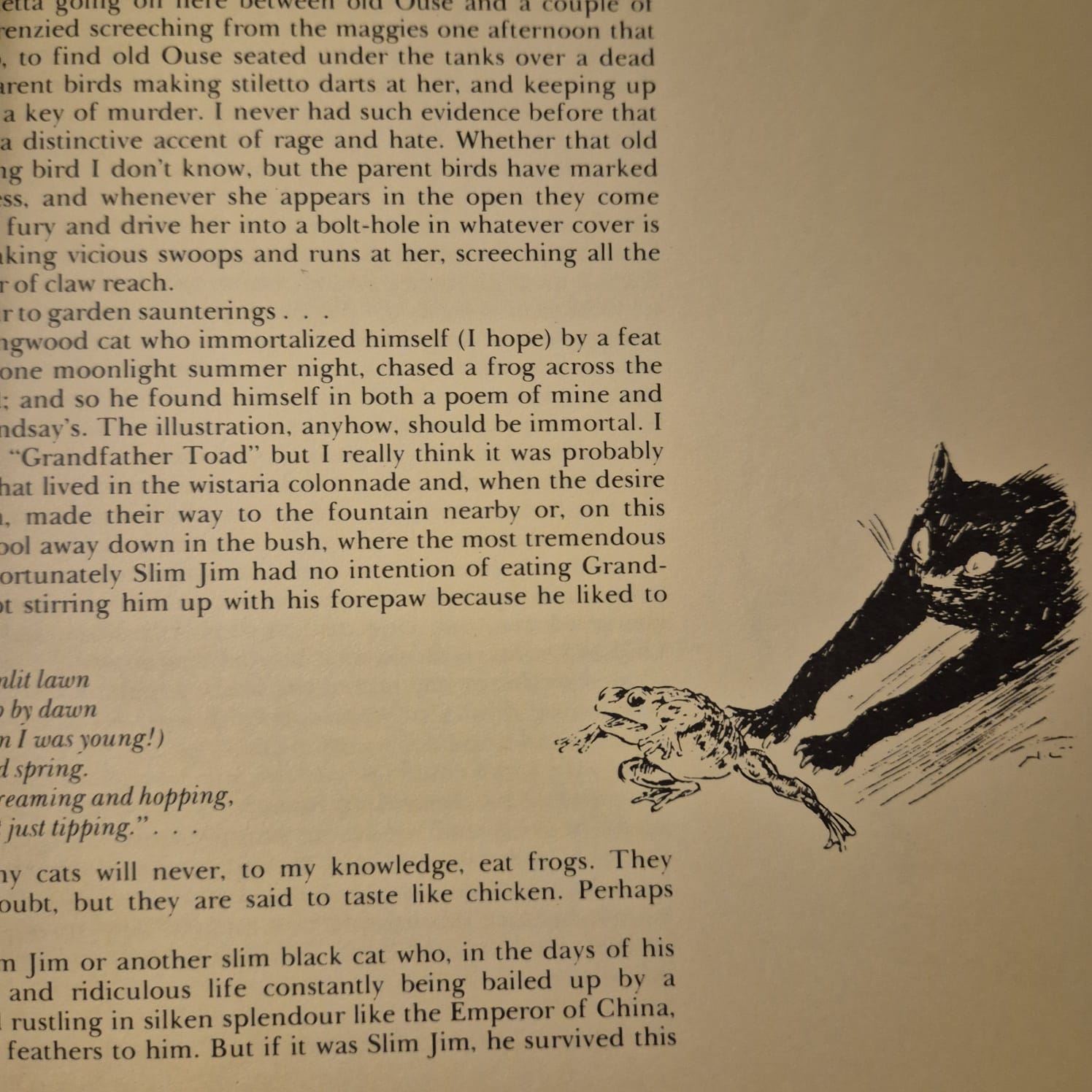 'Cats' by Norman Lindsay