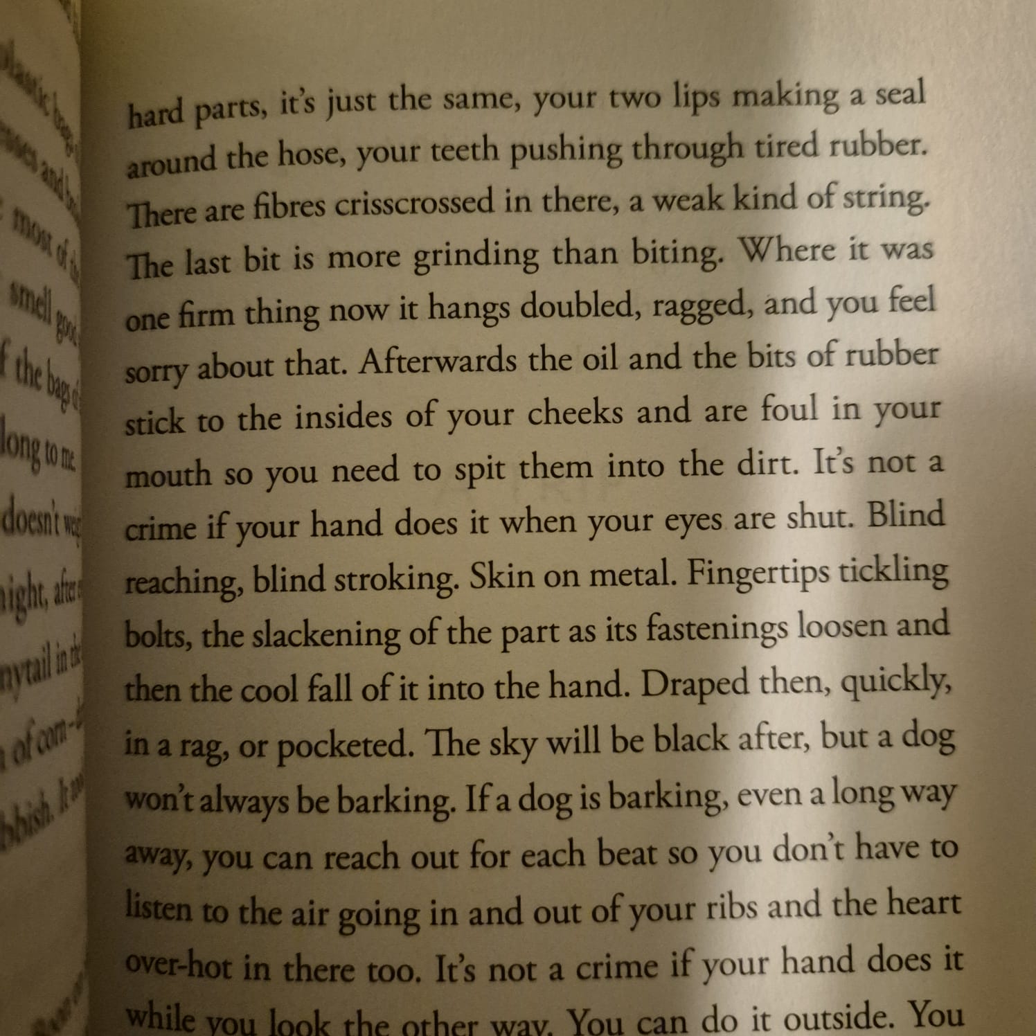 'Exploded View' by Carrie Tiffany