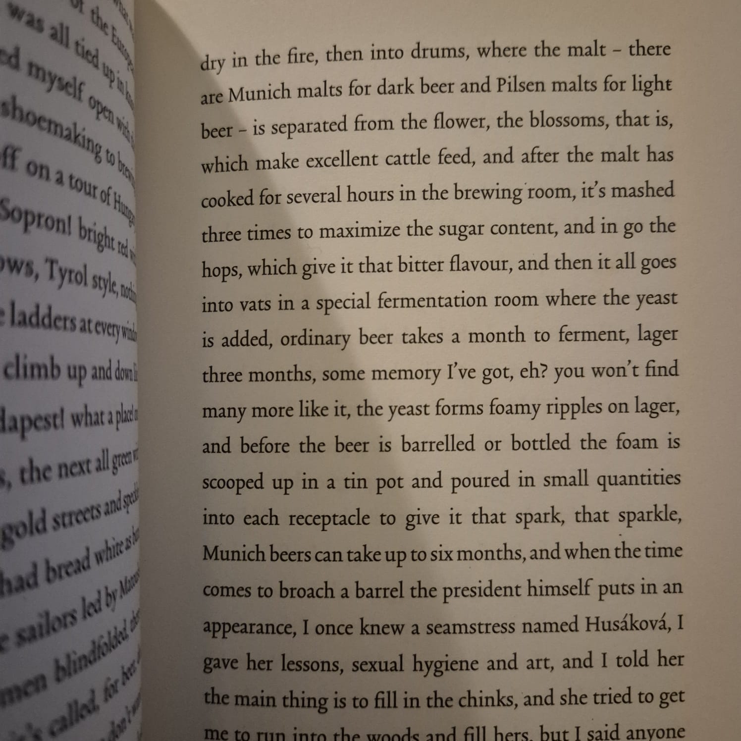 'Dancing Lessons for the Advanced in Age' by Bohumil Hrabal