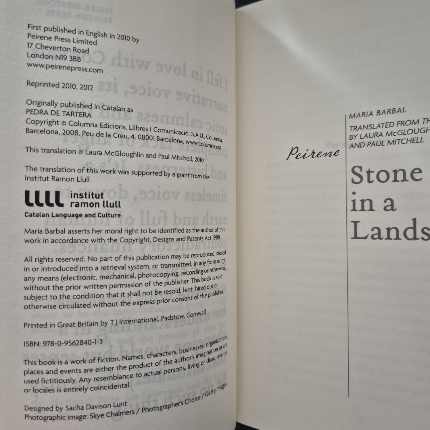 'Stone in a Landslide' by Maria Barbal
