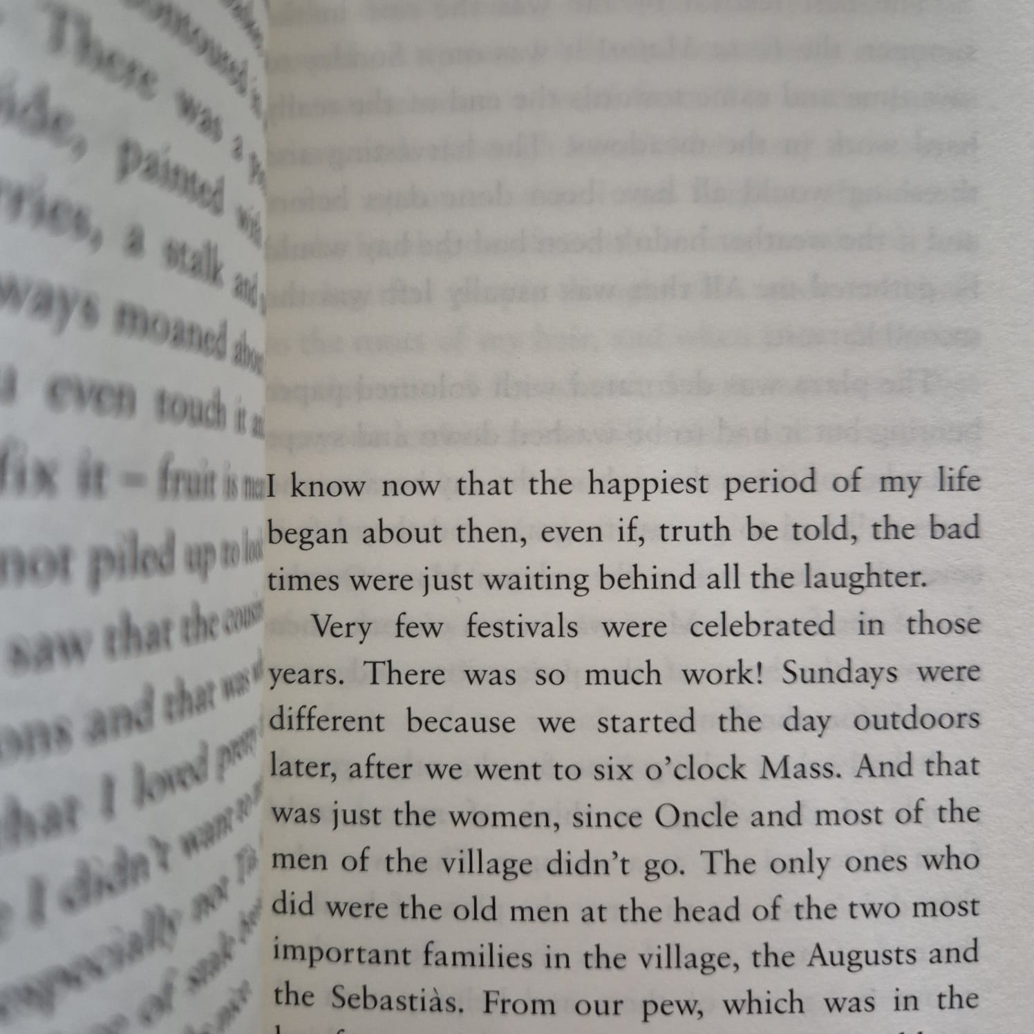 'Stone in a Landslide' by Maria Barbal