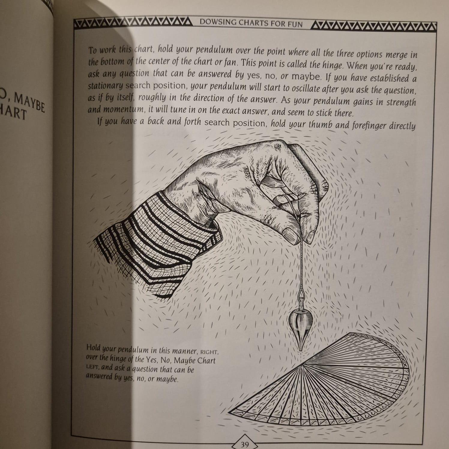 'The Pendulum Kit' by Sig Lonegren
