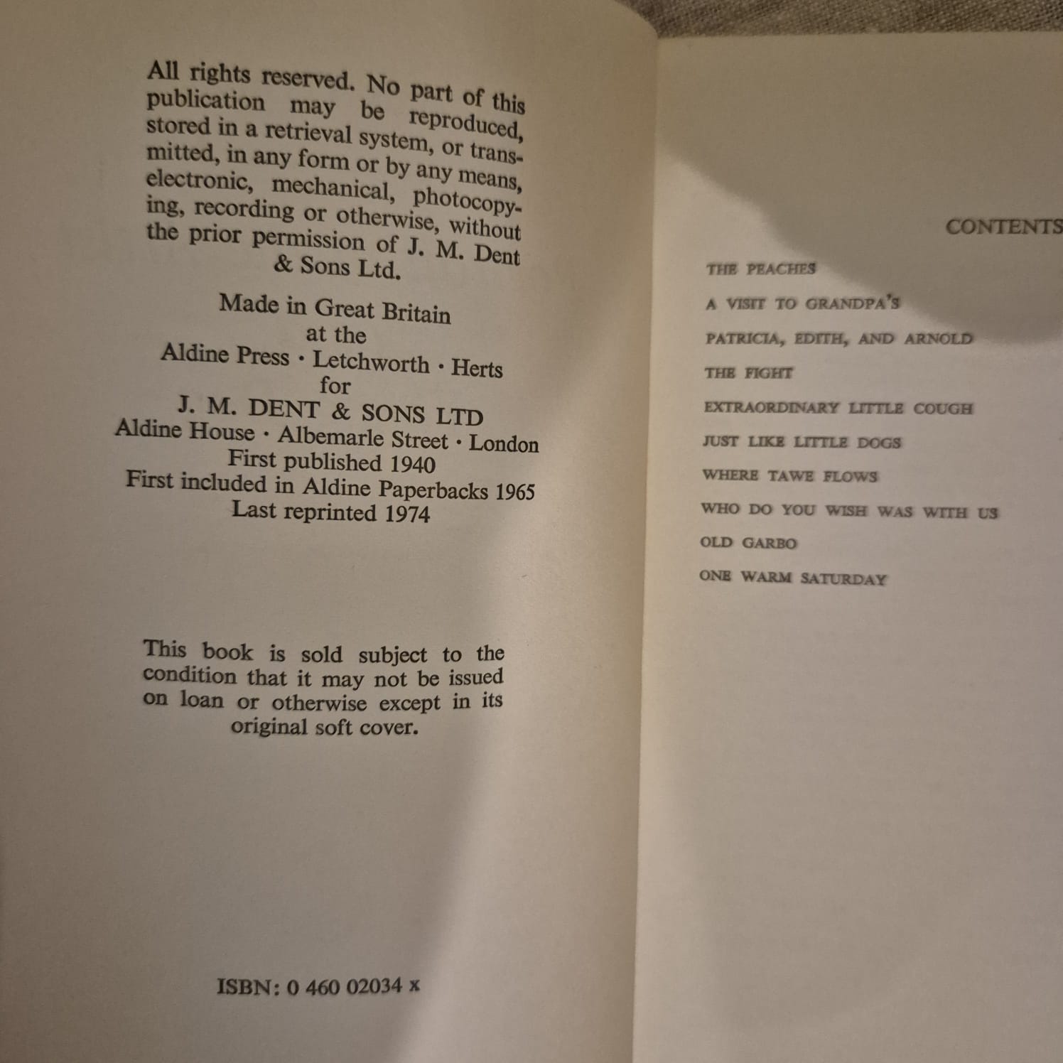 'Portrait of an Artist as a Young Dog' by Dylan Thomas