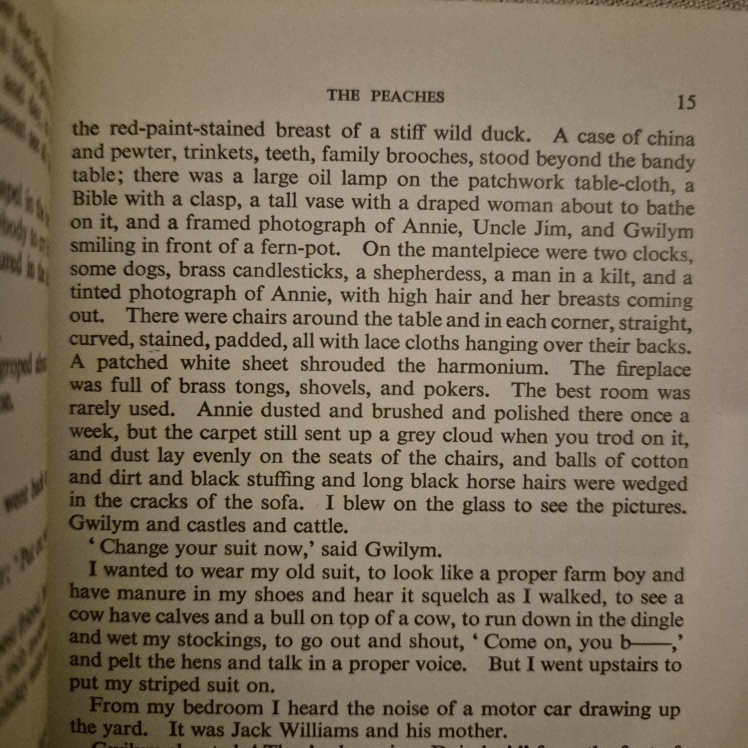 'Portrait of an Artist as a Young Dog' by Dylan Thomas