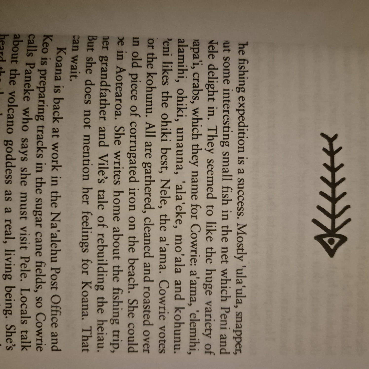 'Cowrie' by Cathie Dunsford
