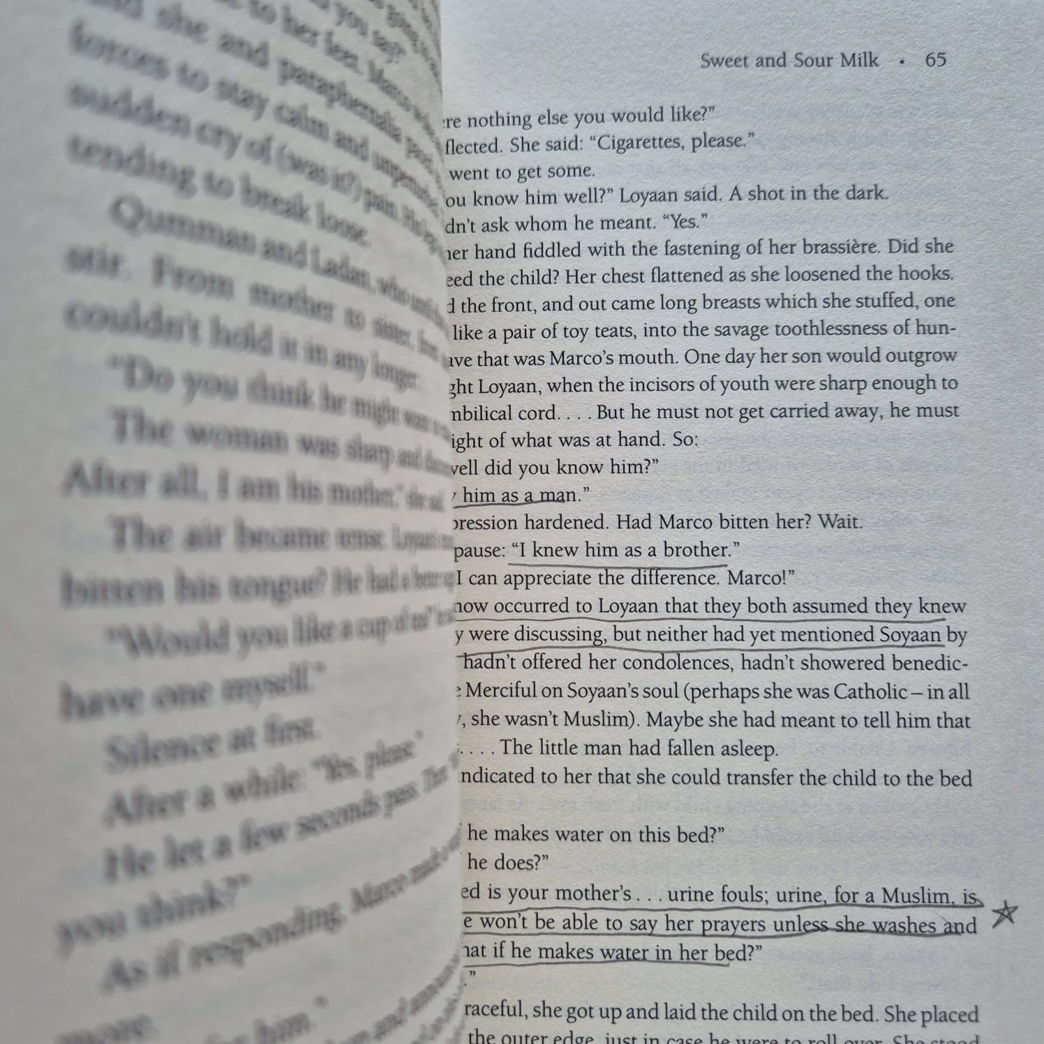 'Sweet and Sour Milk' by Nuruddin Farah