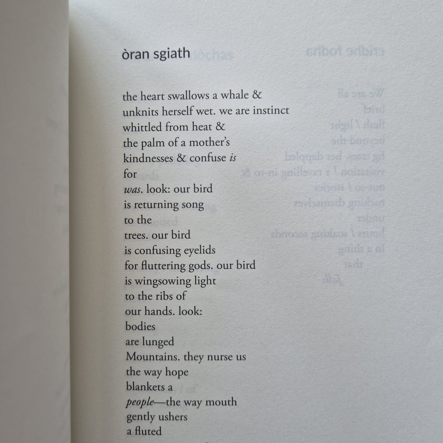 'màthair beinn' by Eartha Davis