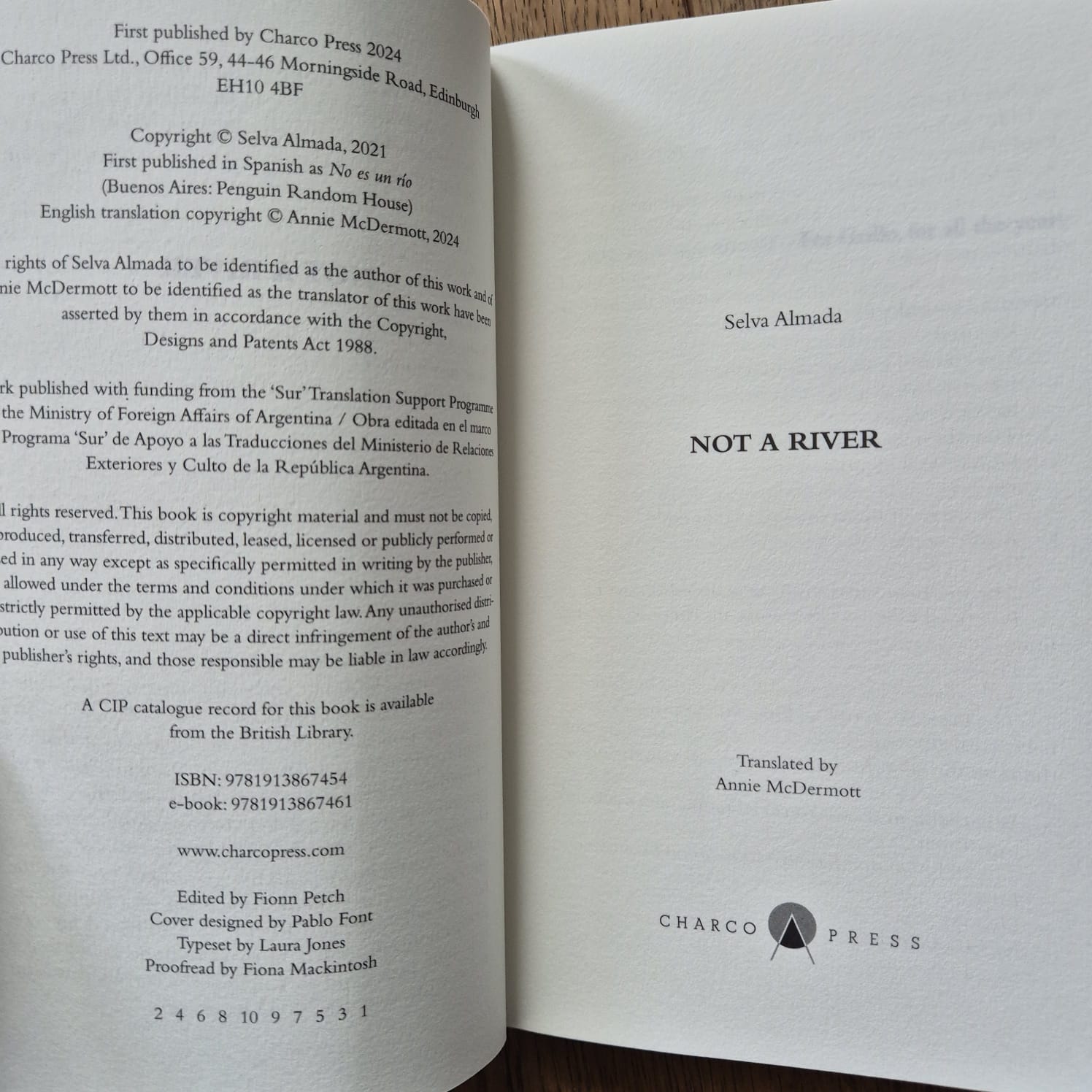 'Not a River' by Selva Almada
