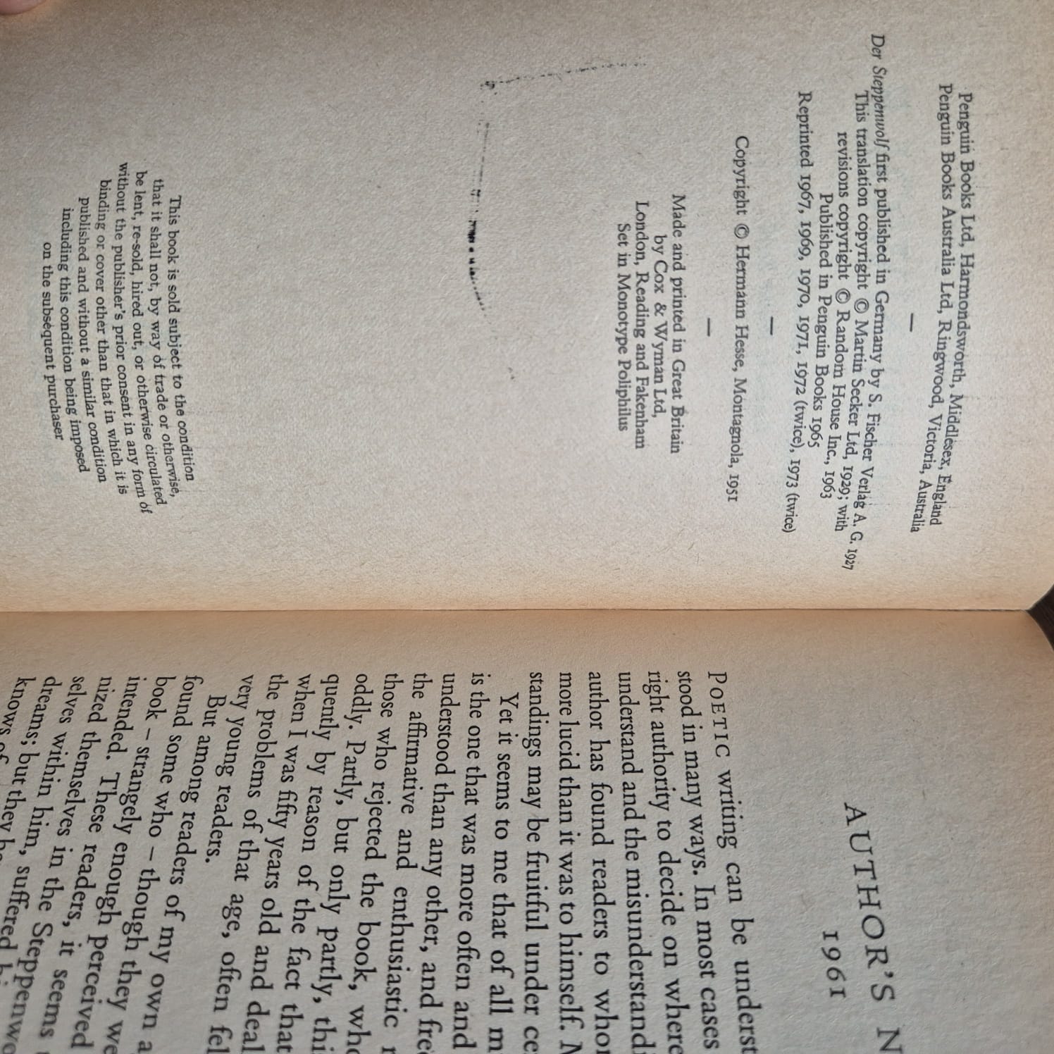 'Steppenwolf' by Herman Hesse