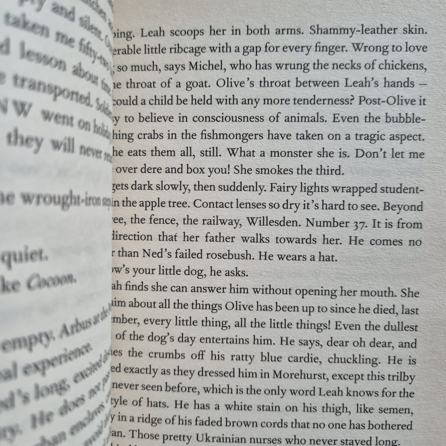 'NW' by Zadie Smith