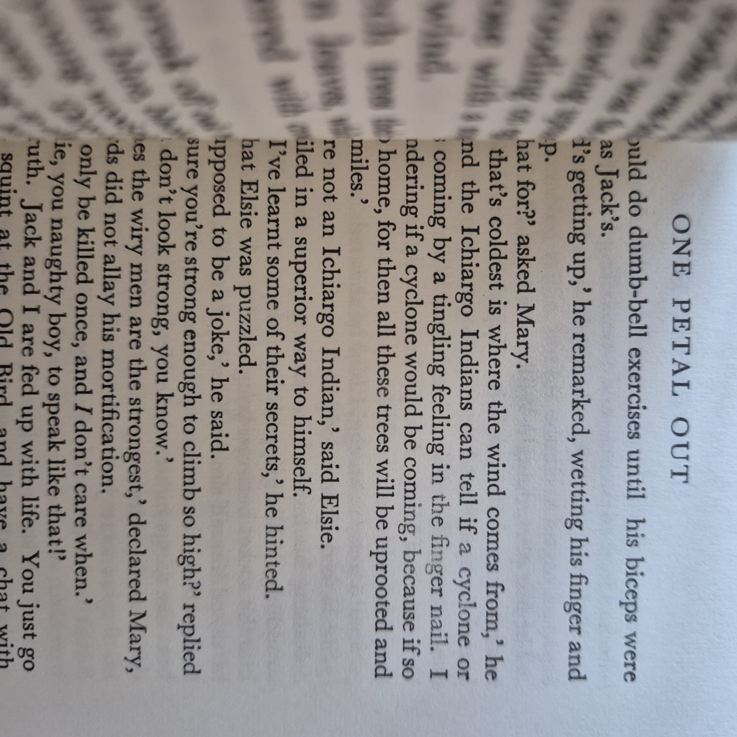 'Dandelion Days' by Henry Williamson