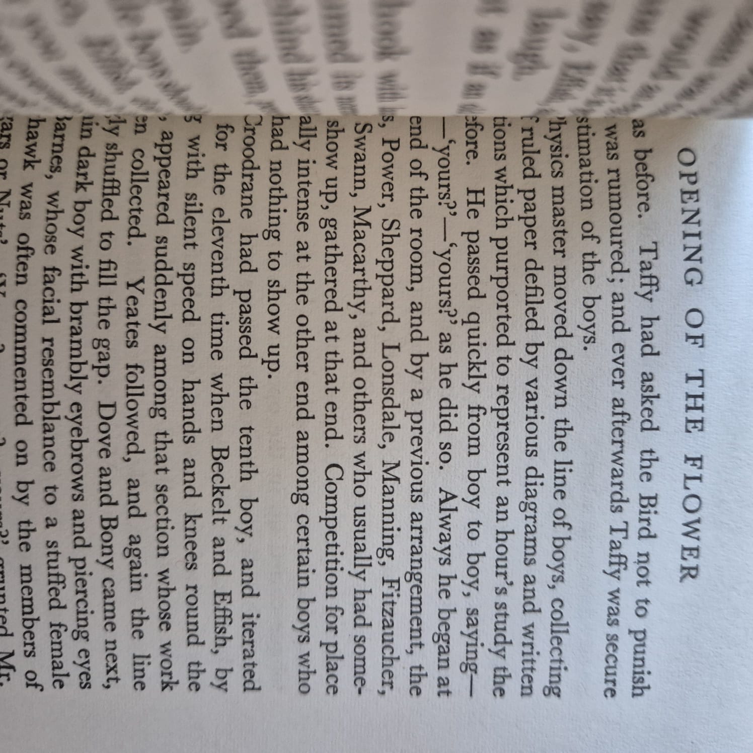 'Dandelion Days' by Henry Williamson