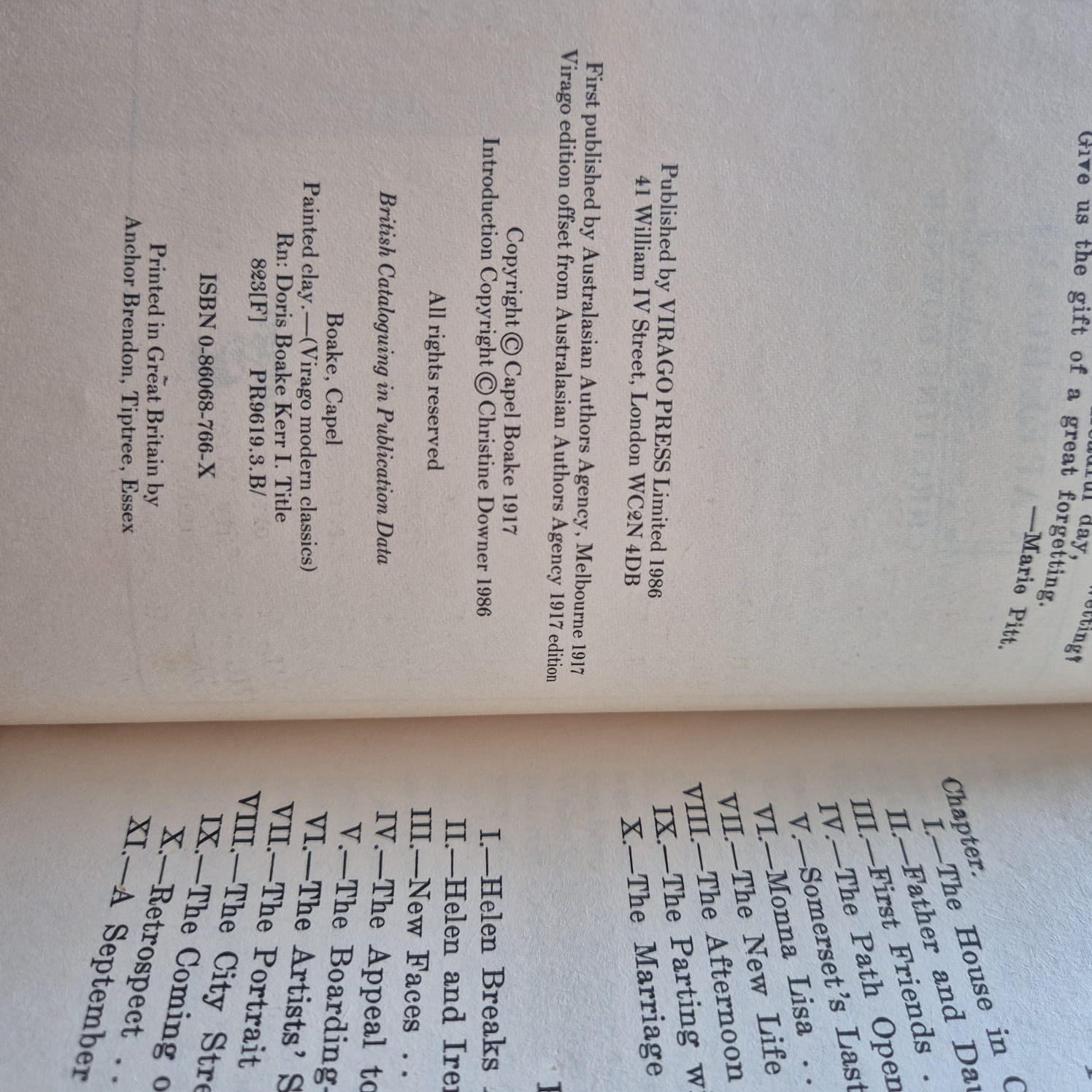 'Painted Clay' by Capel Boake