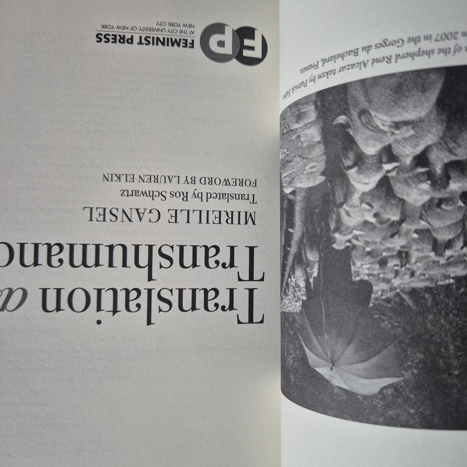 'Translation as Transhumance' by Mireille Gansel
