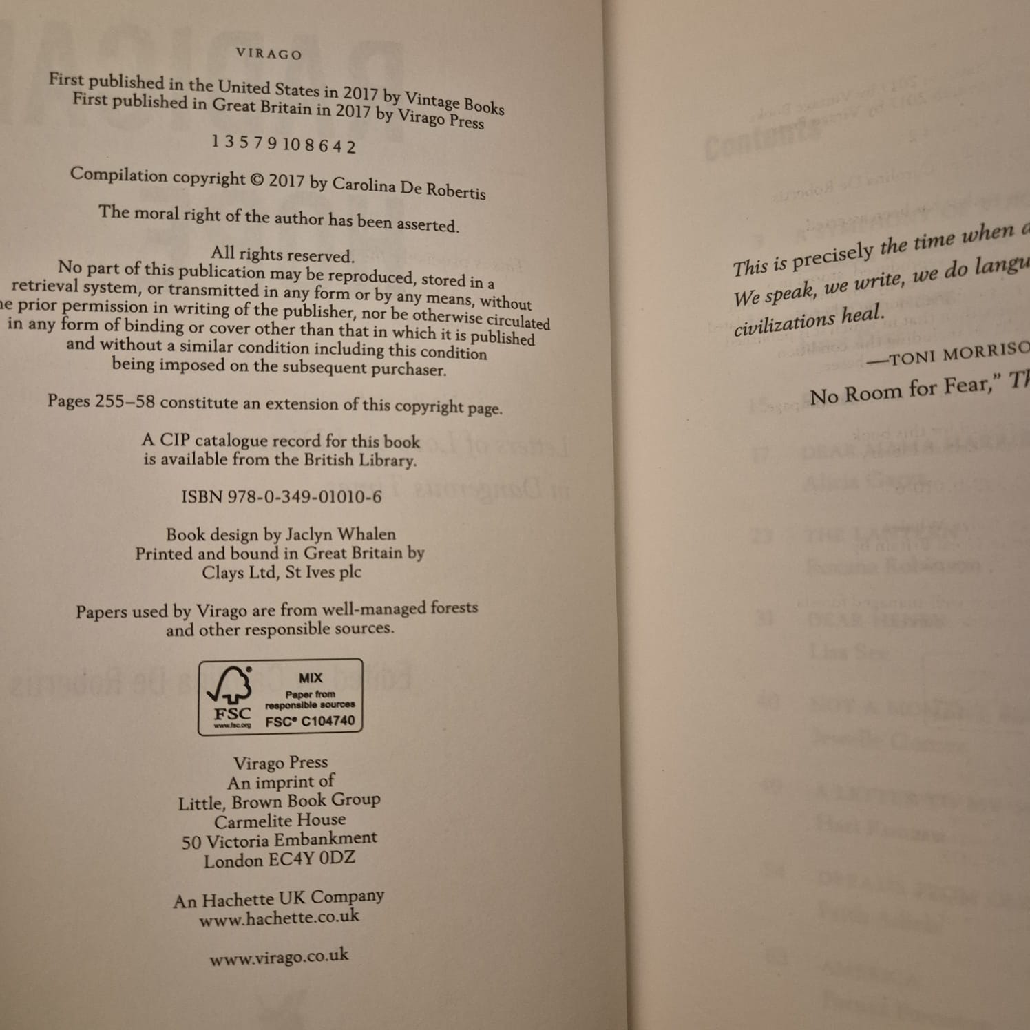 'Radical Hope: Letters of Love and Dissent in Dangerous Times' edited by Carolina De Robertis