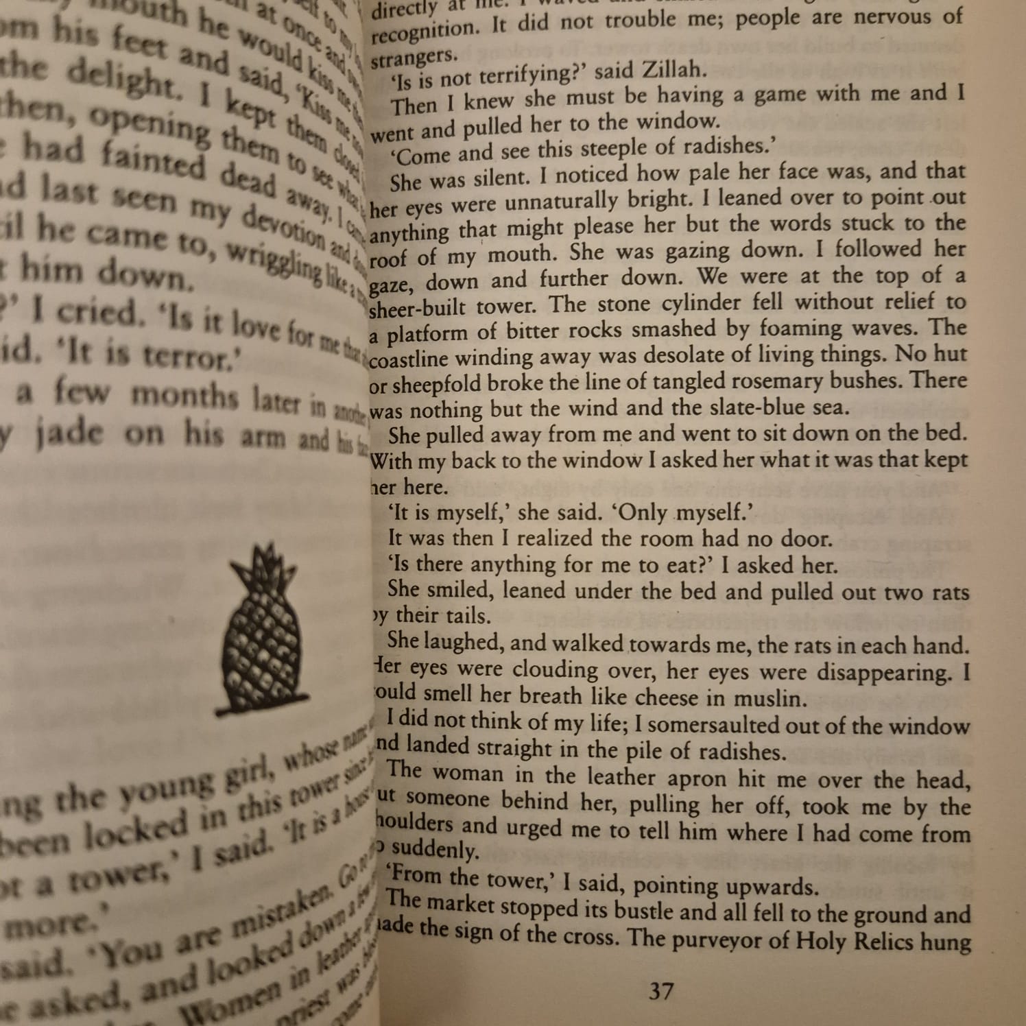 'Sexing the Cherry' by Jeanette Winterson