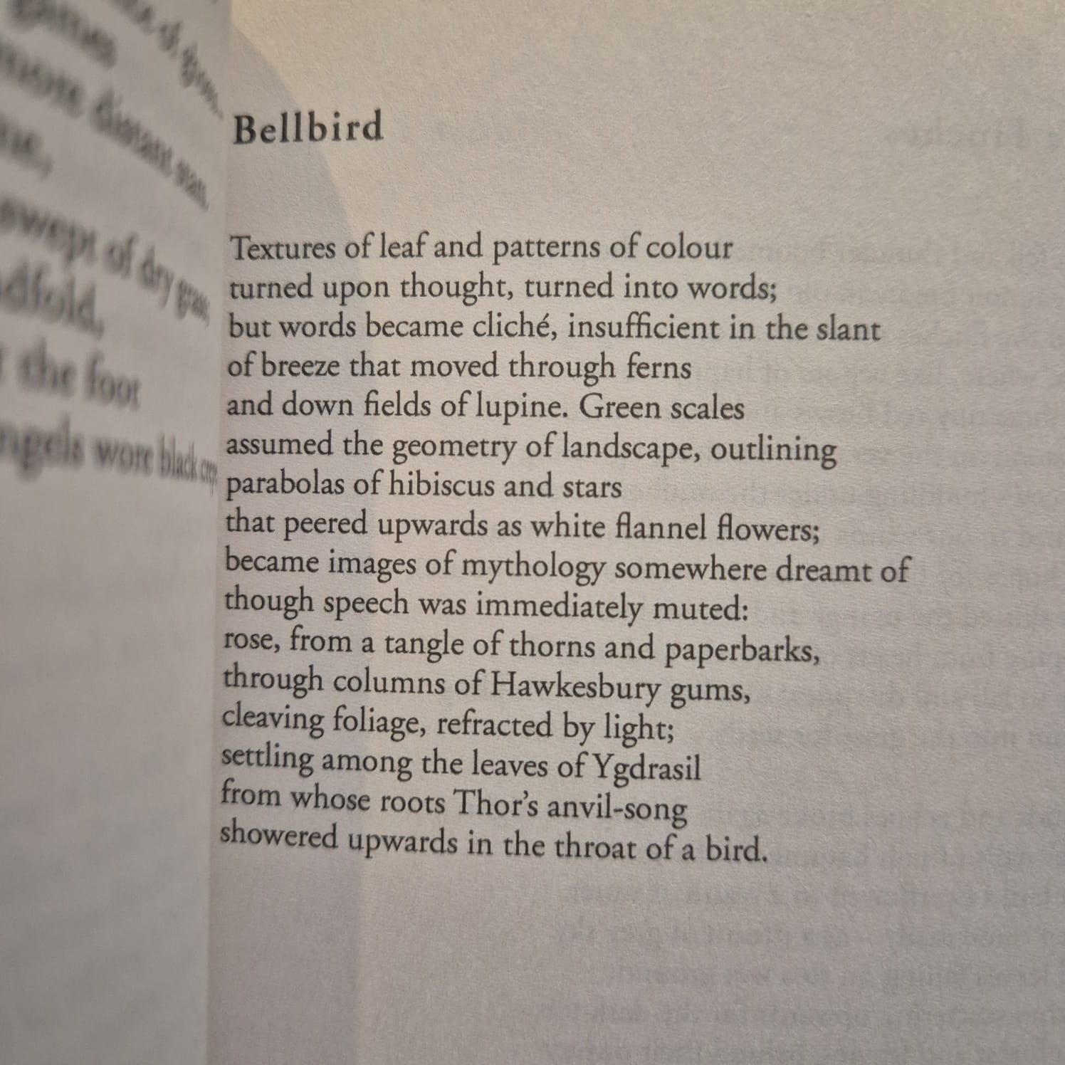 'Old/New World: New & Selected Poems' by Peter Skrzynecki
