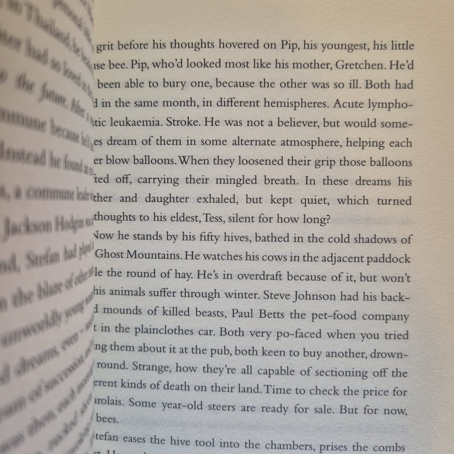 'The World Without Us' by Mireille Juchau