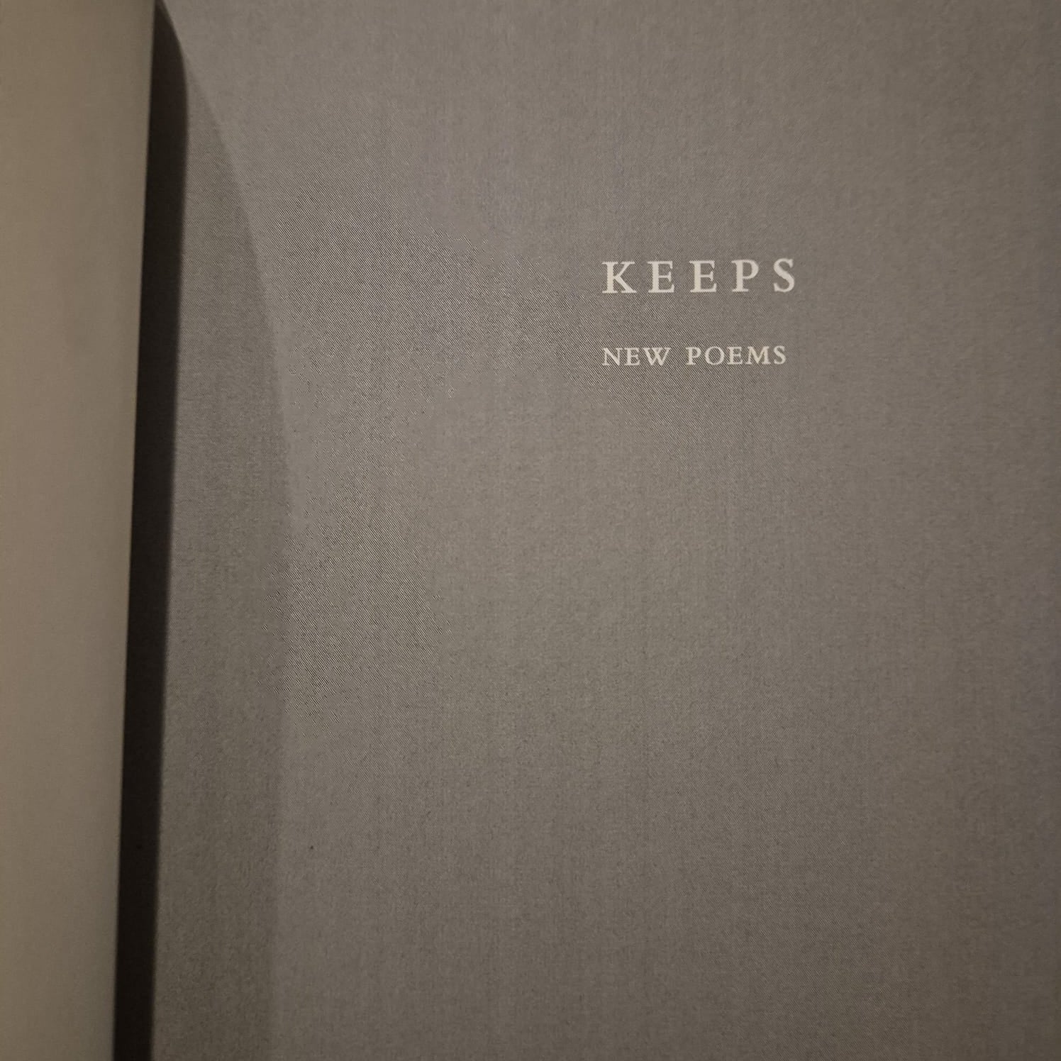 'Keeps: with Patience, Mutiny and Man Wolf Man' by L.K. Holt