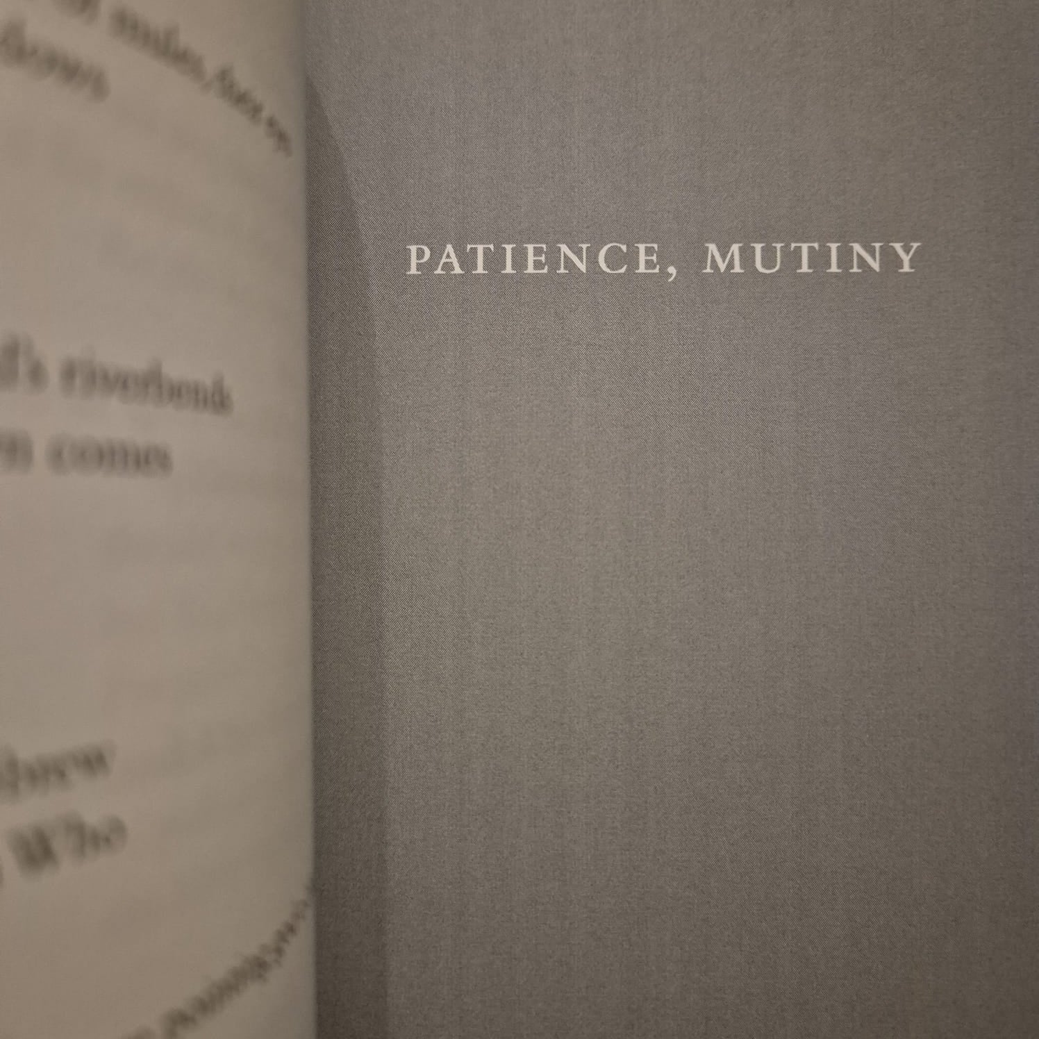 'Keeps: with Patience, Mutiny and Man Wolf Man' by L.K. Holt