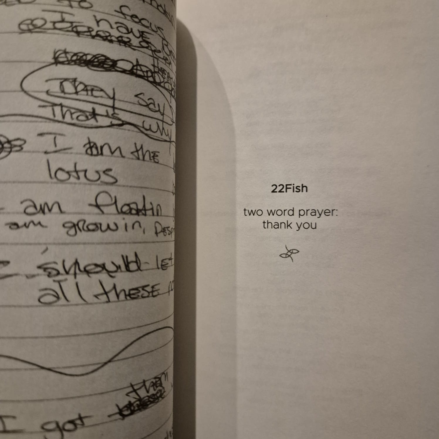 '2Fish: A Poetry Book' by Jhené Aiko Efuru Chilombo