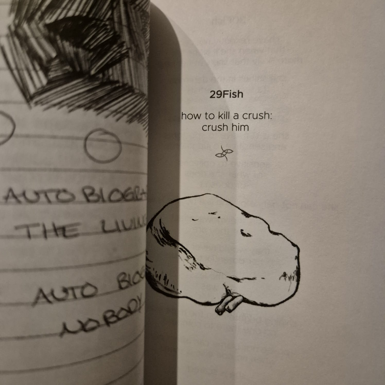 '2Fish: A Poetry Book' by Jhené Aiko Efuru Chilombo