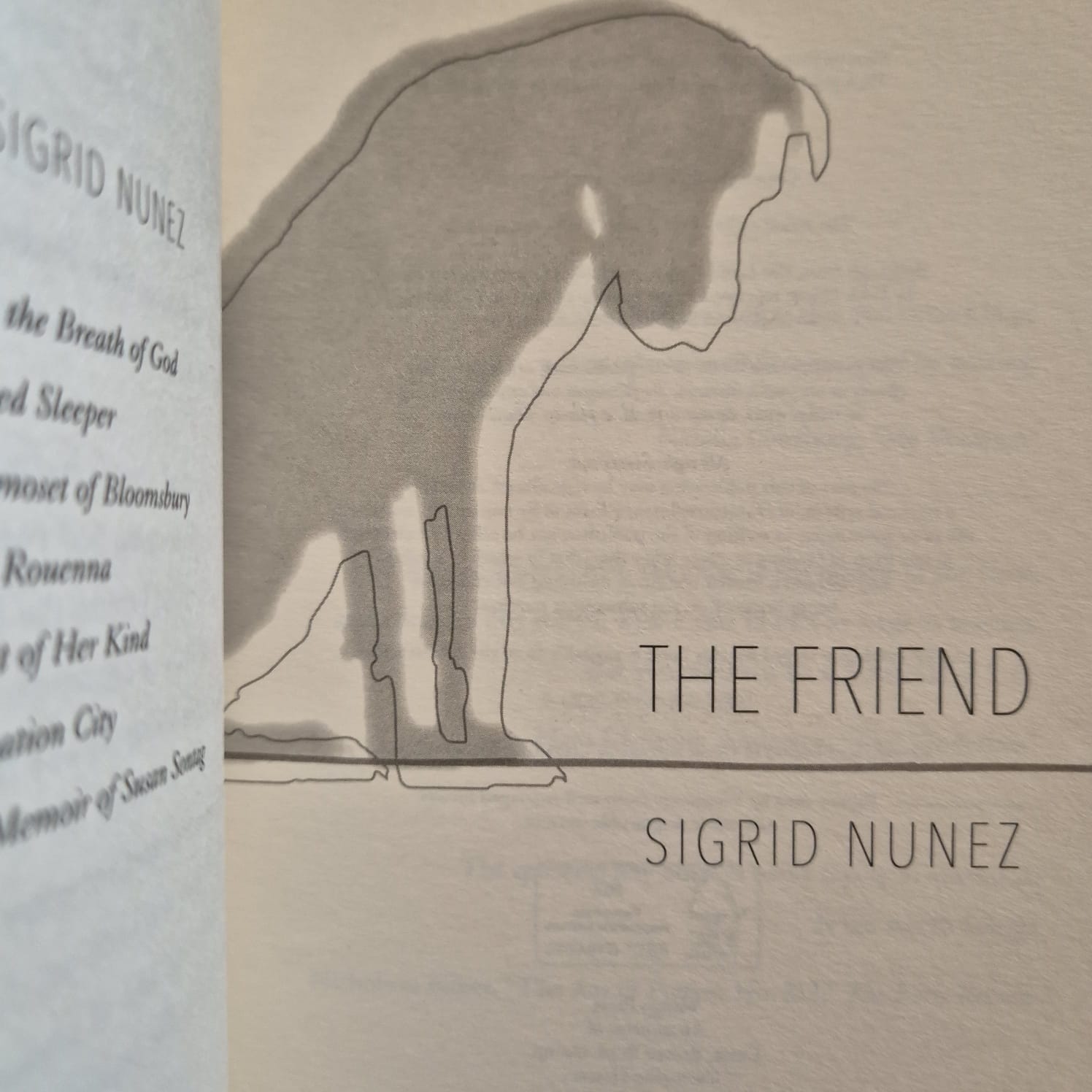 'The Friend' by Sigrid Nunez