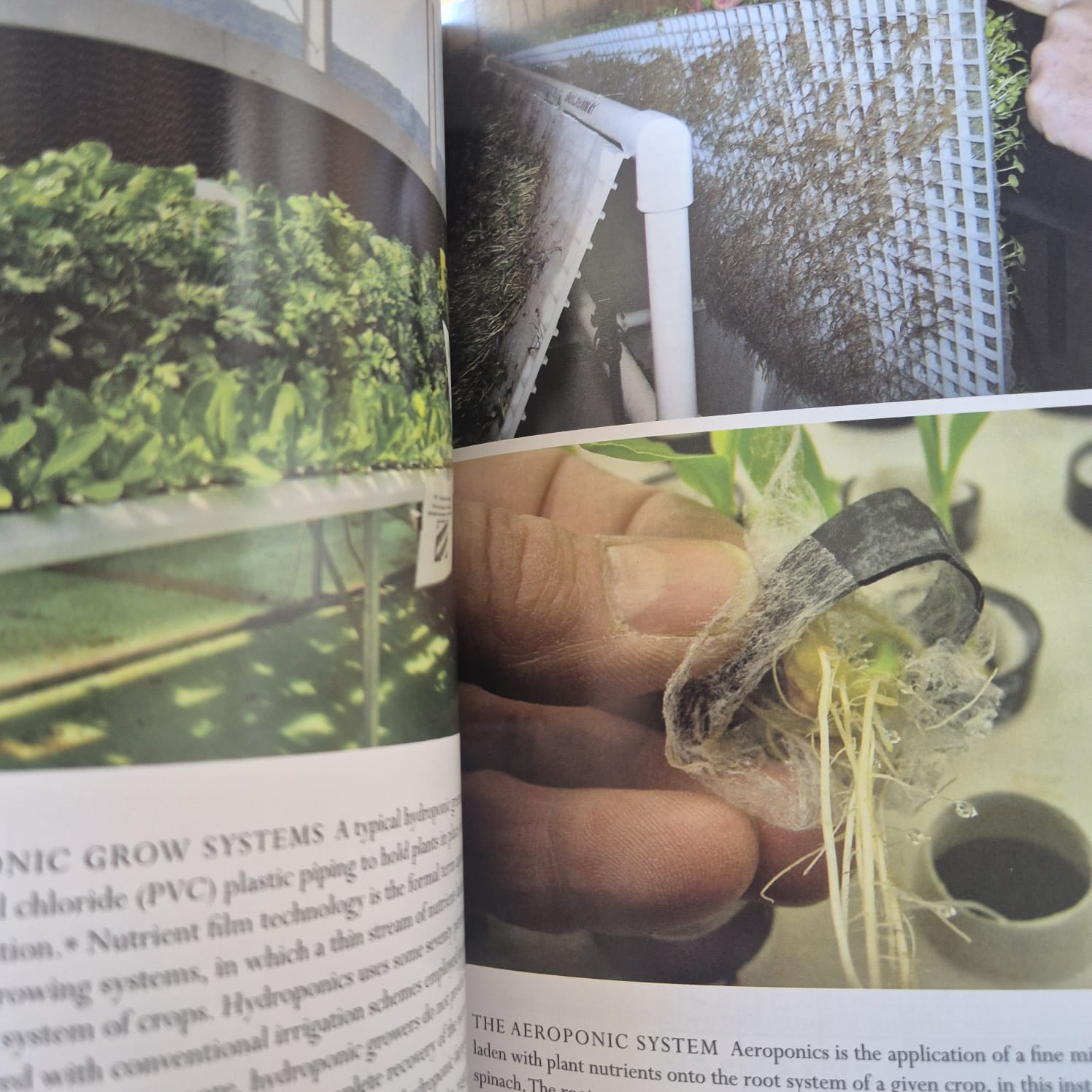 'The Vertical Farm: Feeding the World in the 21st Century' by Dickson Despommier
