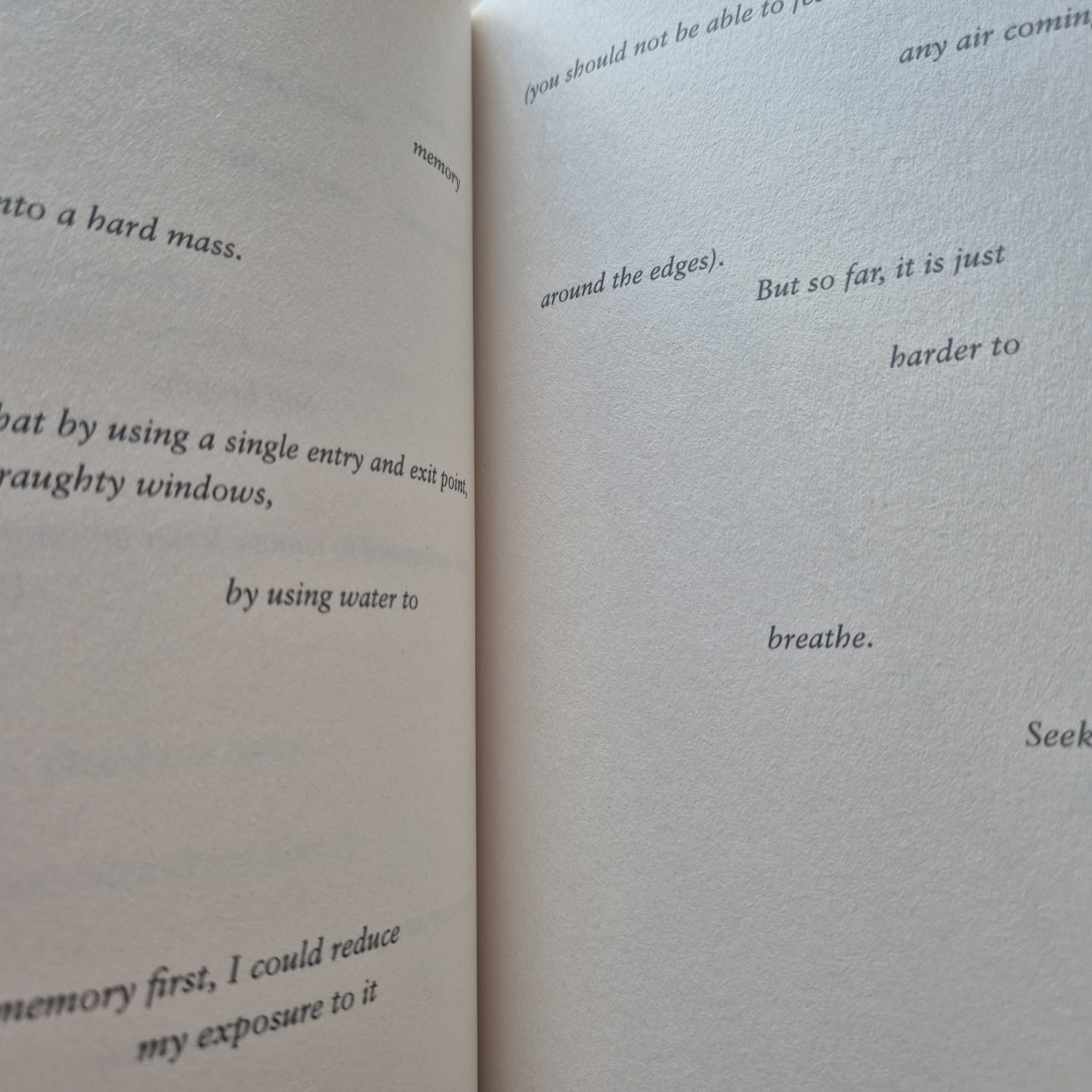 'Ash' by Louise Wallace