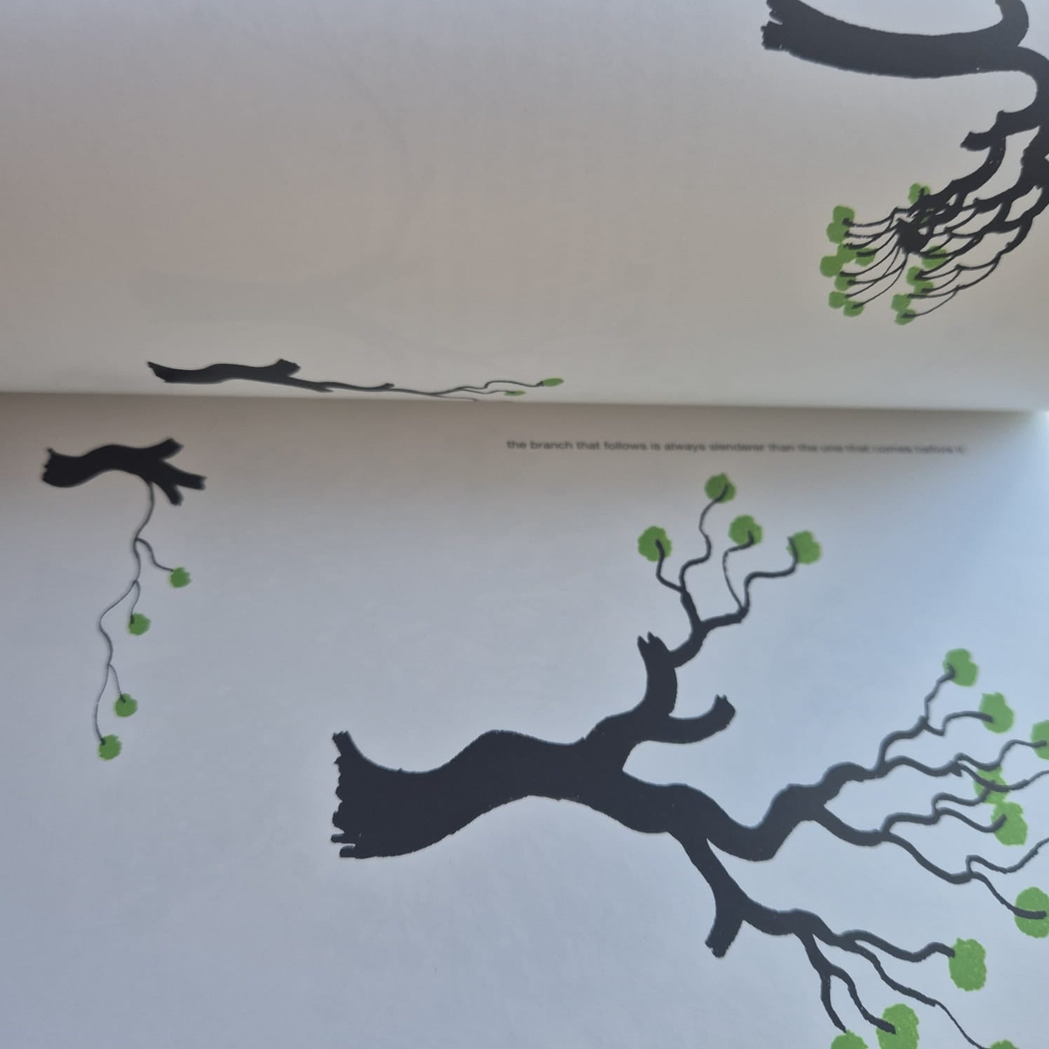 'Drawing a Tree' by Bruno Munari